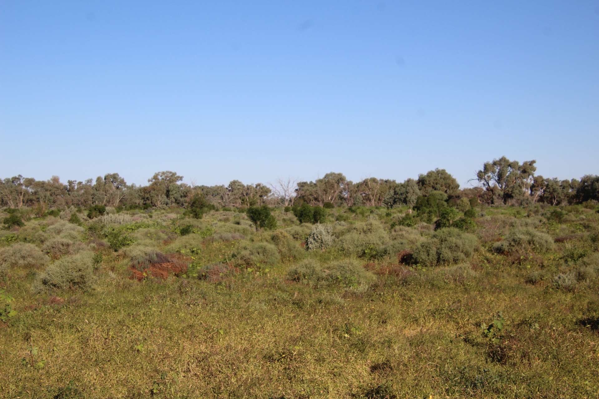 20692 Silver City Highway, Broken Hill Auction by Farmbuy.com - image 11