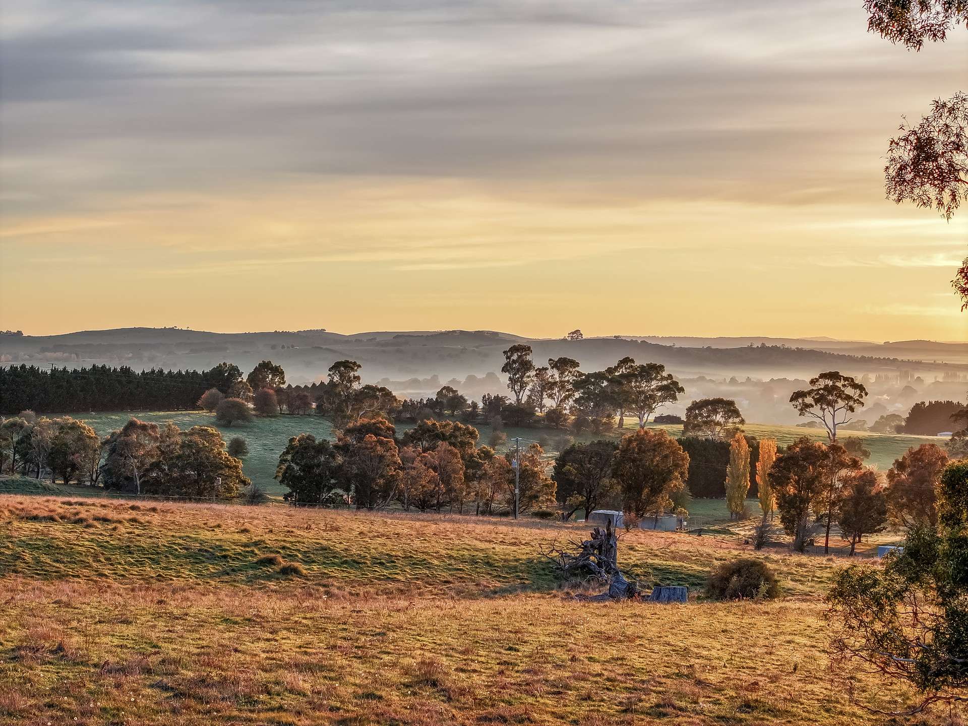 151 Gillamatong Lane, Braidwood For Sale by Farmbuy.com - image 11