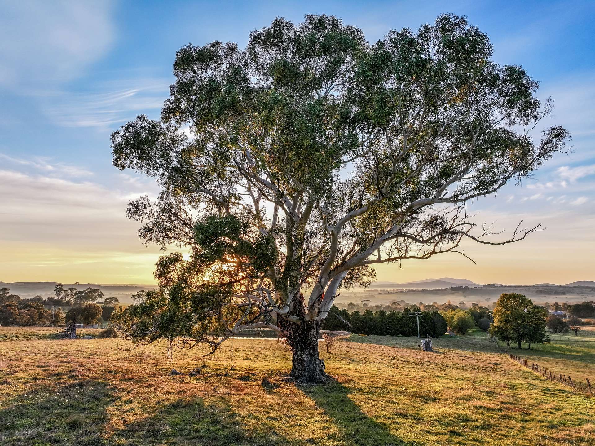 151 Gillamatong Lane, Braidwood For Sale by Farmbuy.com - image 4