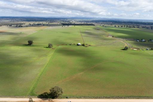 Caruba&comma; 176 Uphills Lane, Purlewaugh NSW 2357