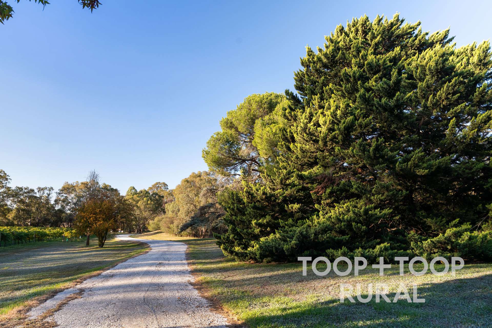 308 Sawpit Gully Road, Keyneton For Sale by Farmbuy.com - image 24
