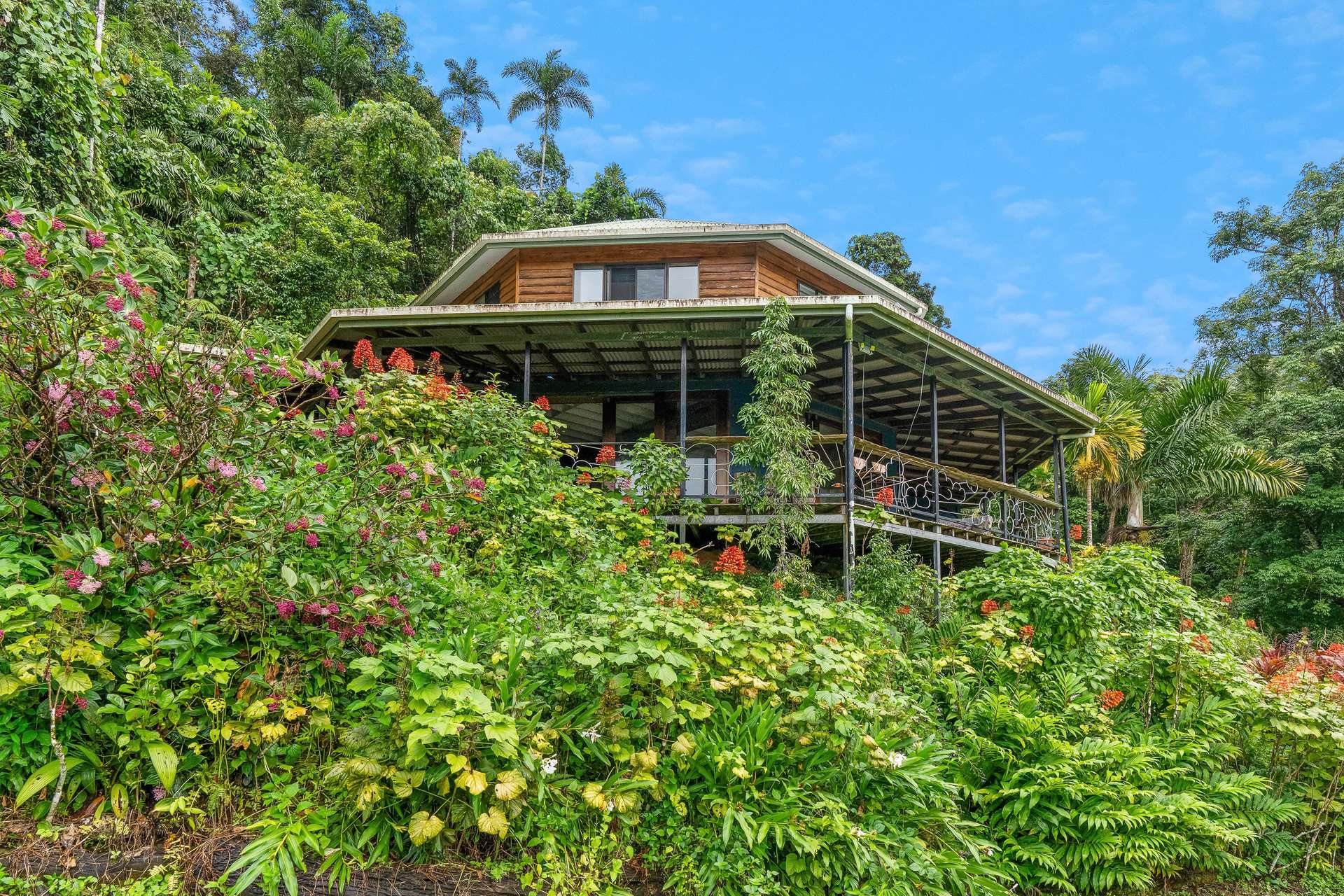 123 Ironbark Road, Diwan, Daintree For Sale by Farmbuy.com - image 26