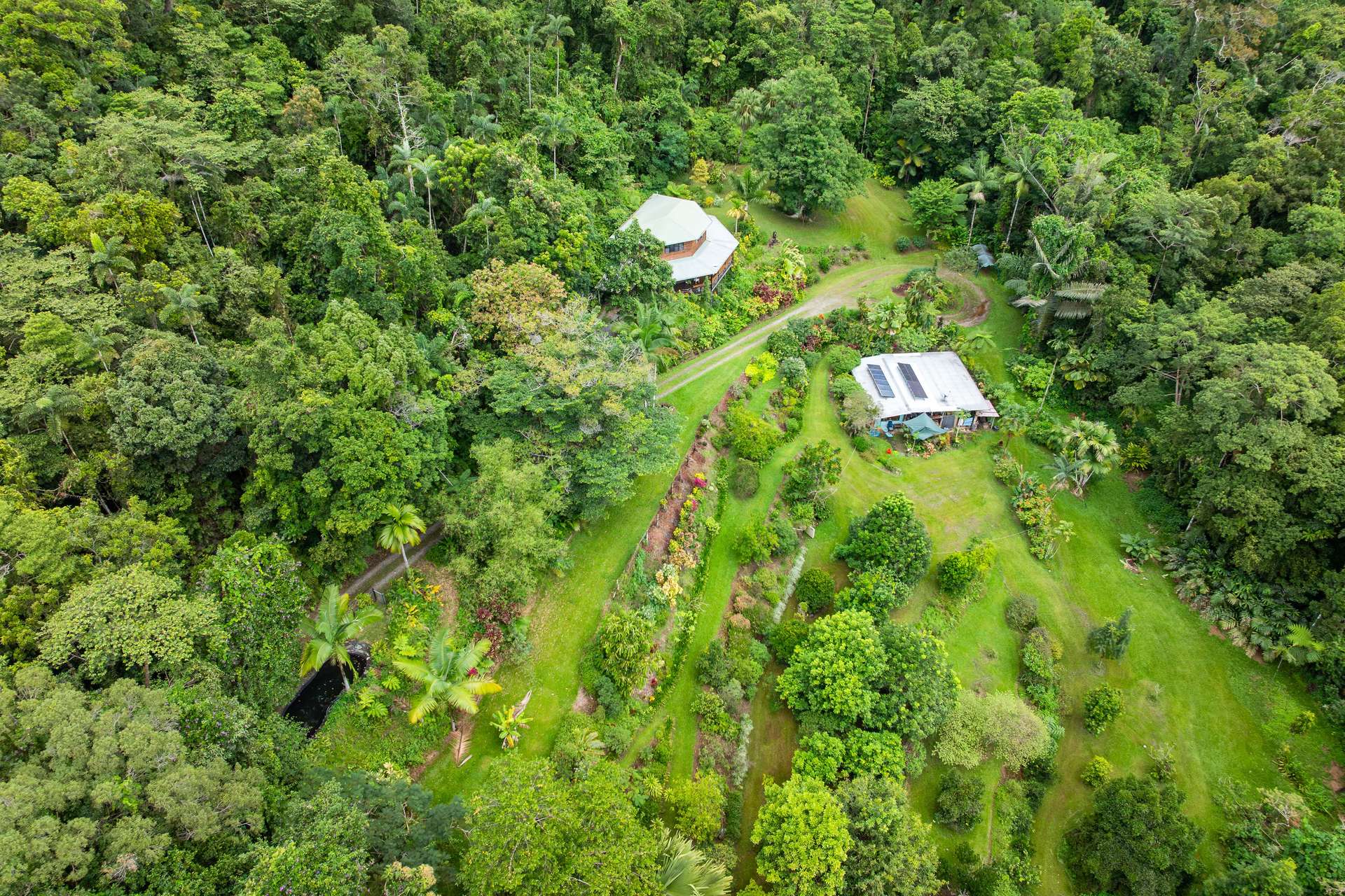 123 Ironbark Road, Diwan, Daintree For Sale by Farmbuy.com - image 5