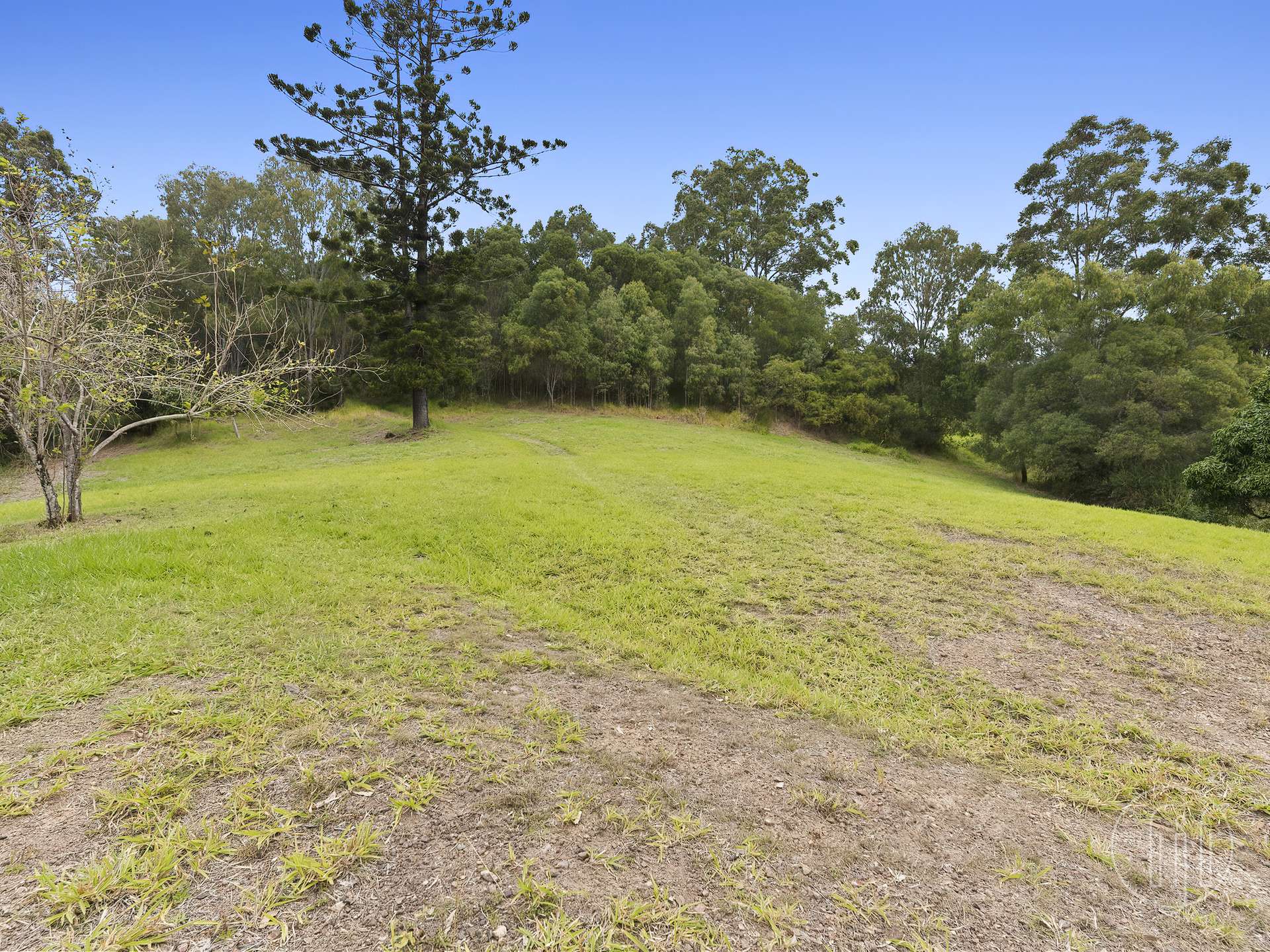31 Bundy Road, Imbil For Sale by Farmbuy.com - image 8