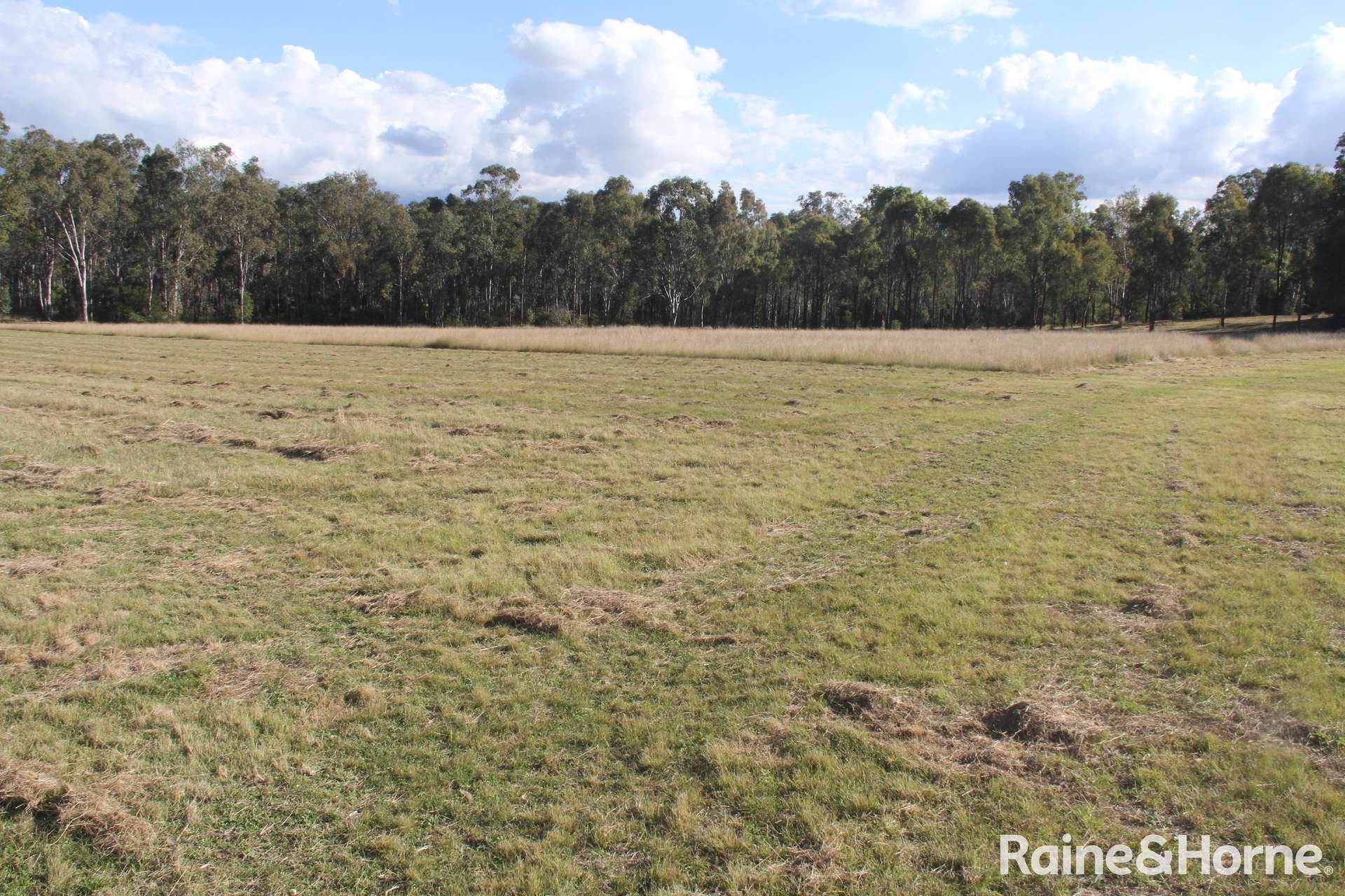 230 Wittman, Booie For Sale by Farmbuy.com - image 32