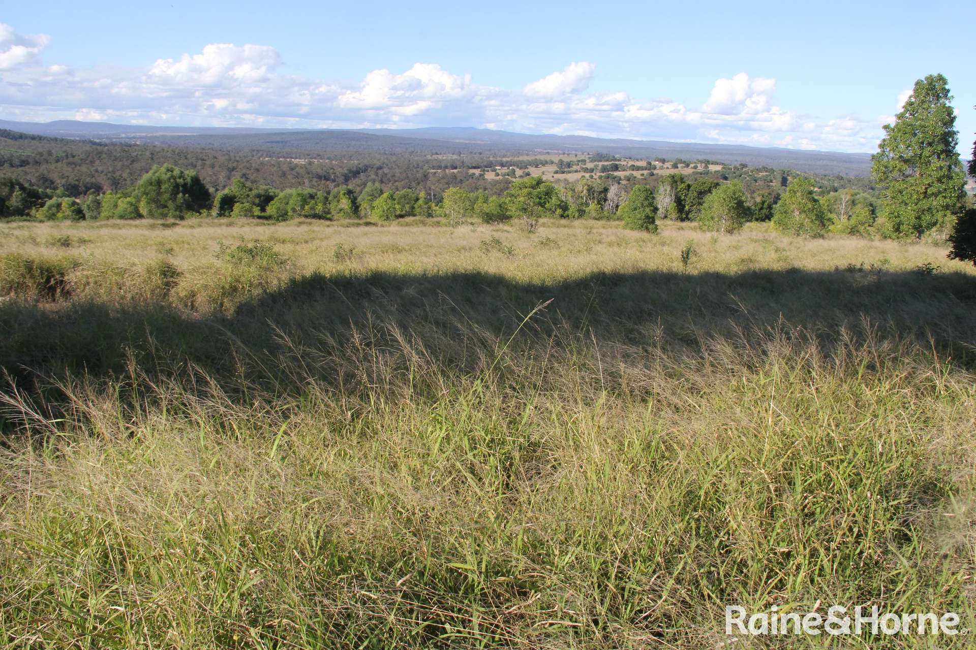 230 Wittman, Booie For Sale by Farmbuy.com - image 25