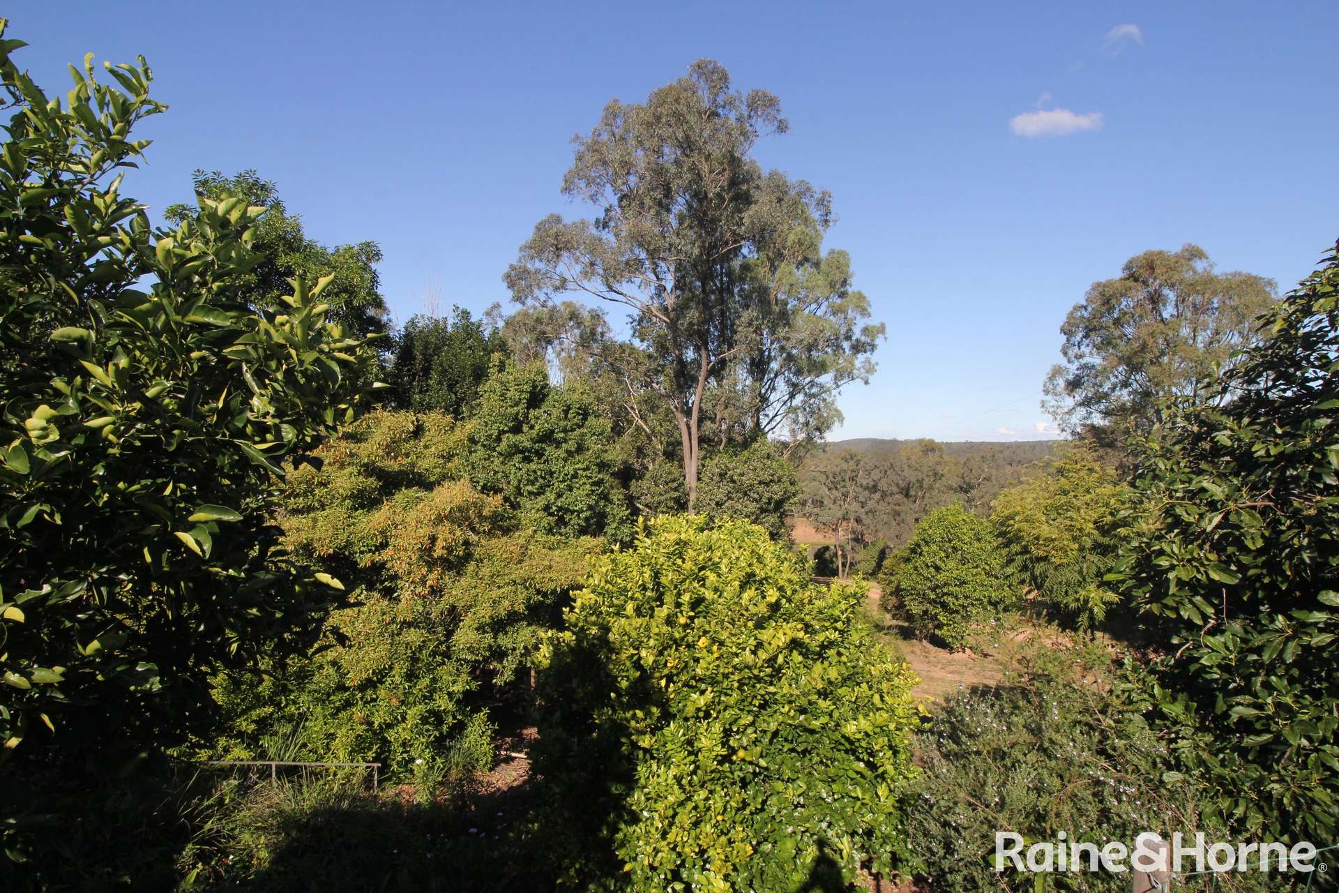 230 Wittman, Booie For Sale by Farmbuy.com - image 18
