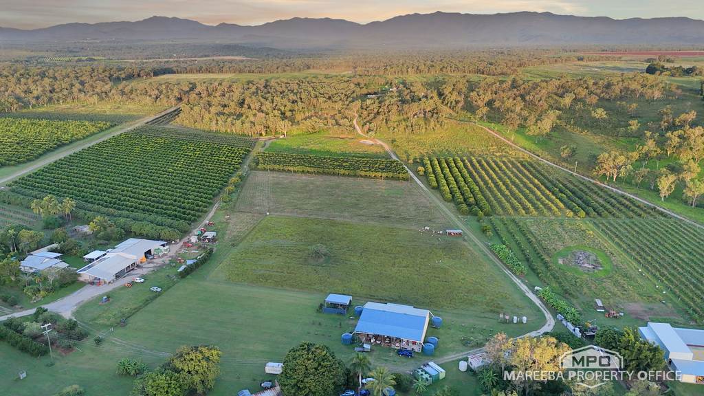 350 Fichera Road, Mareeba QLD 4880