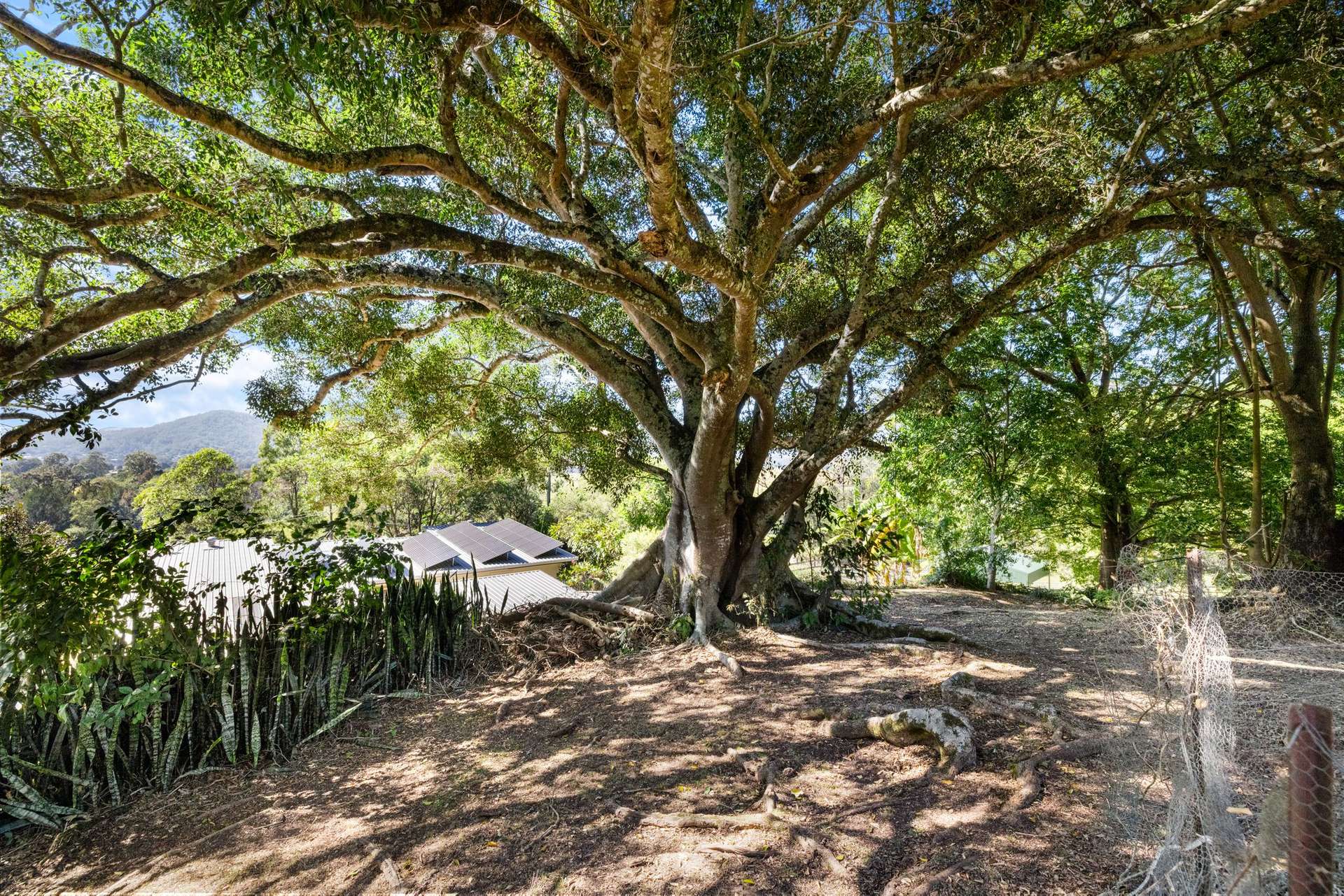 146 Omagh Road, Kyogle For Sale by Farmbuy.com - image 20