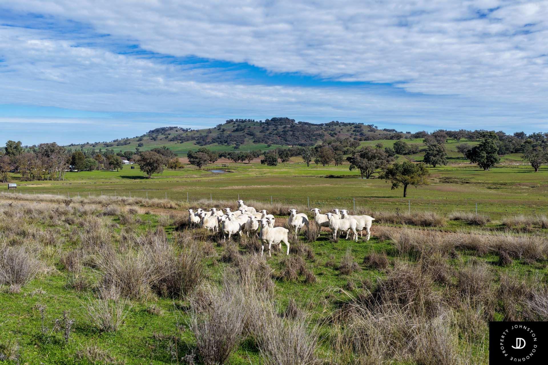 229 Gowang Road, Coonabarabran For Sale by Farmbuy.com - image 19
