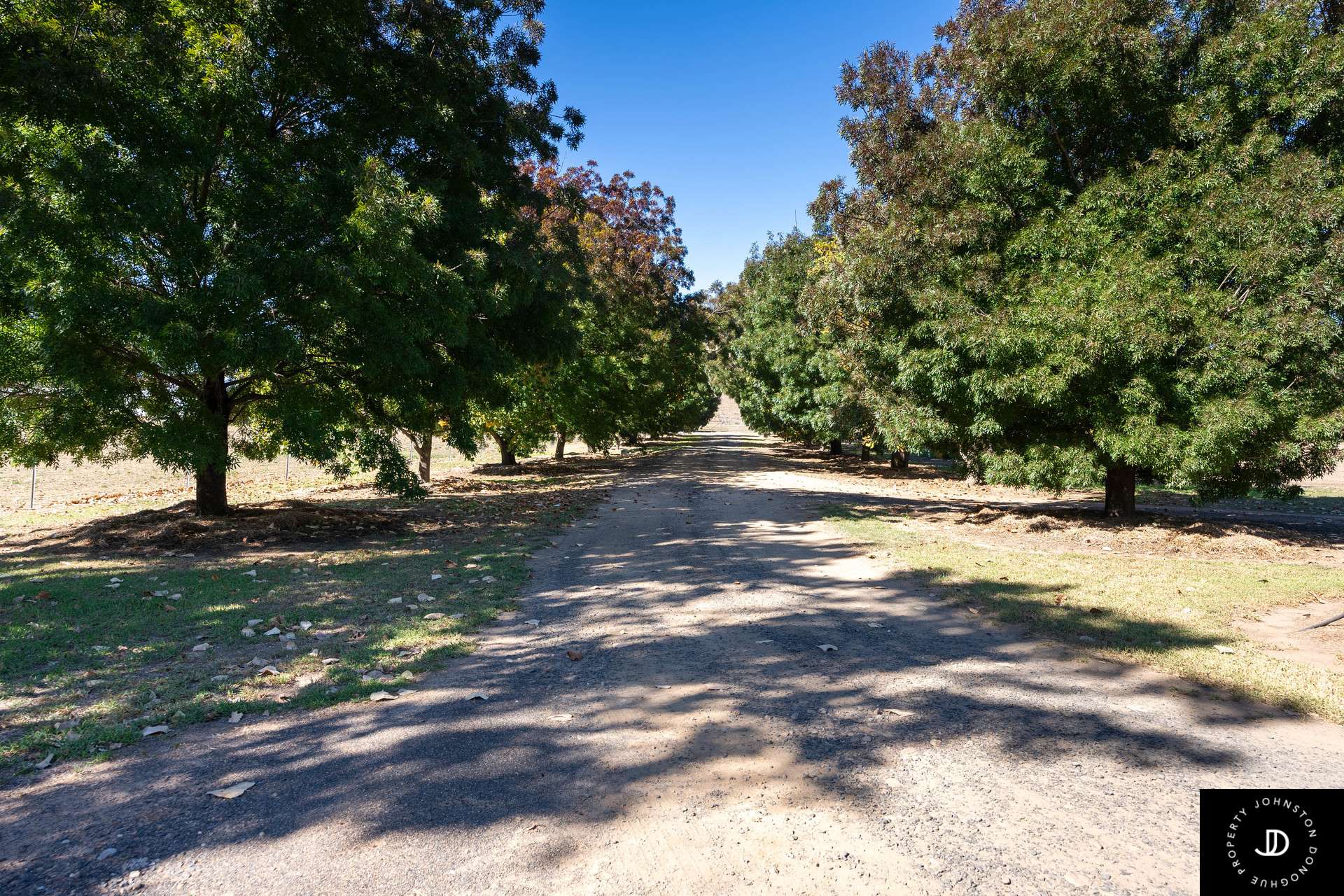 229 Gowang Road, Coonabarabran For Sale by Farmbuy.com - image 15