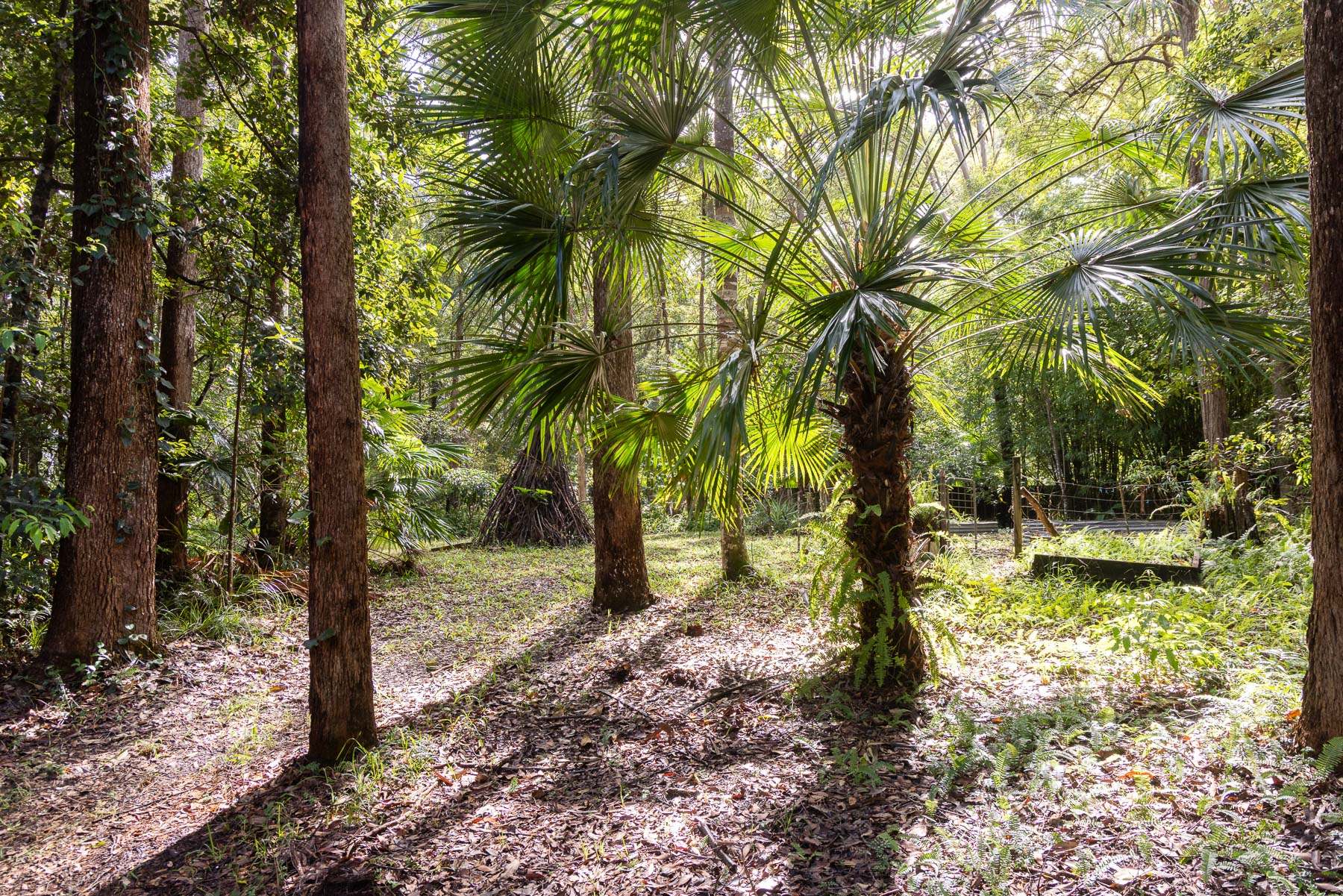 39 Smiths Road, Tinbeerwah For Sale by Farmbuy.com - image 31