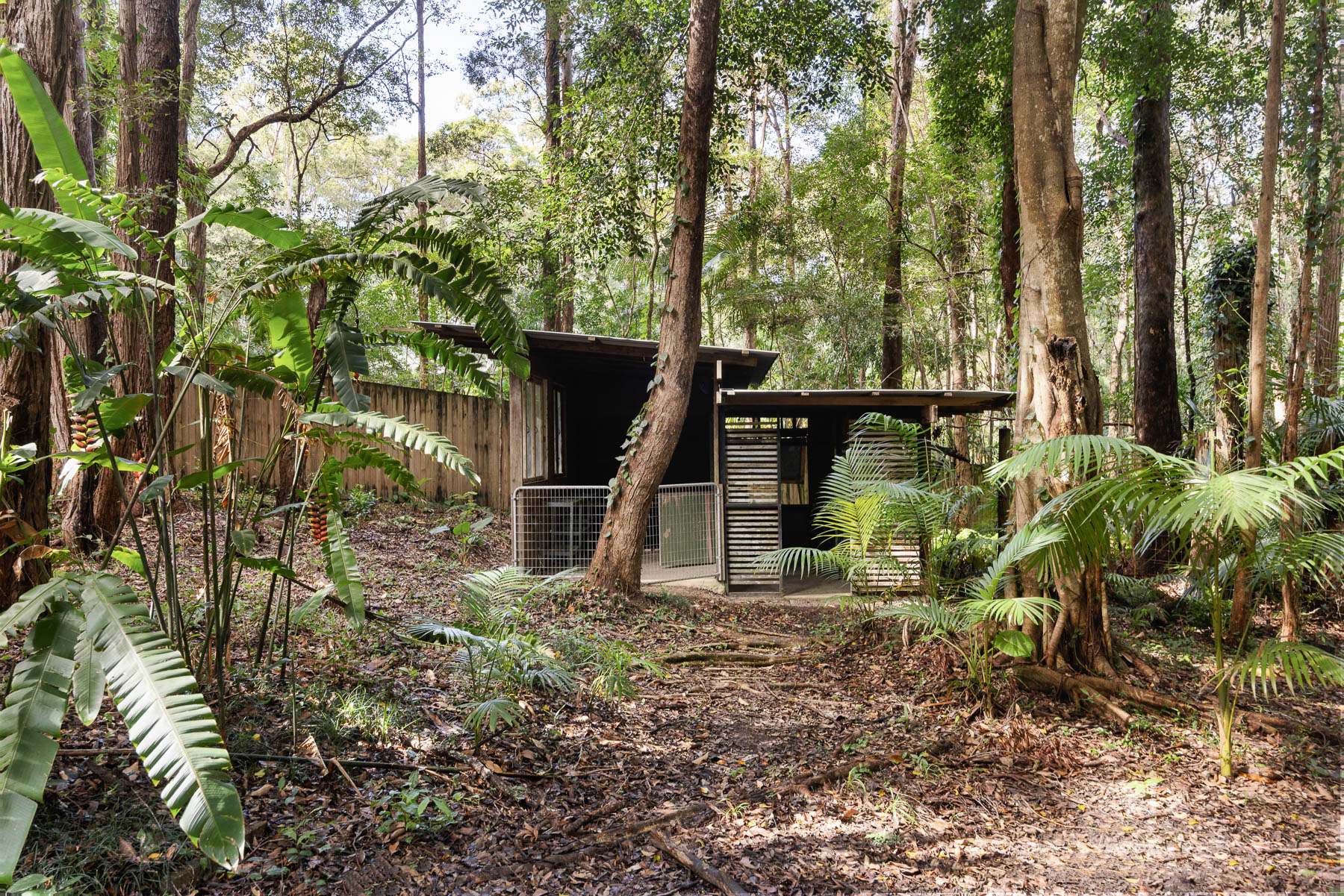 39 Smiths Road, Tinbeerwah For Sale by Farmbuy.com - image 33