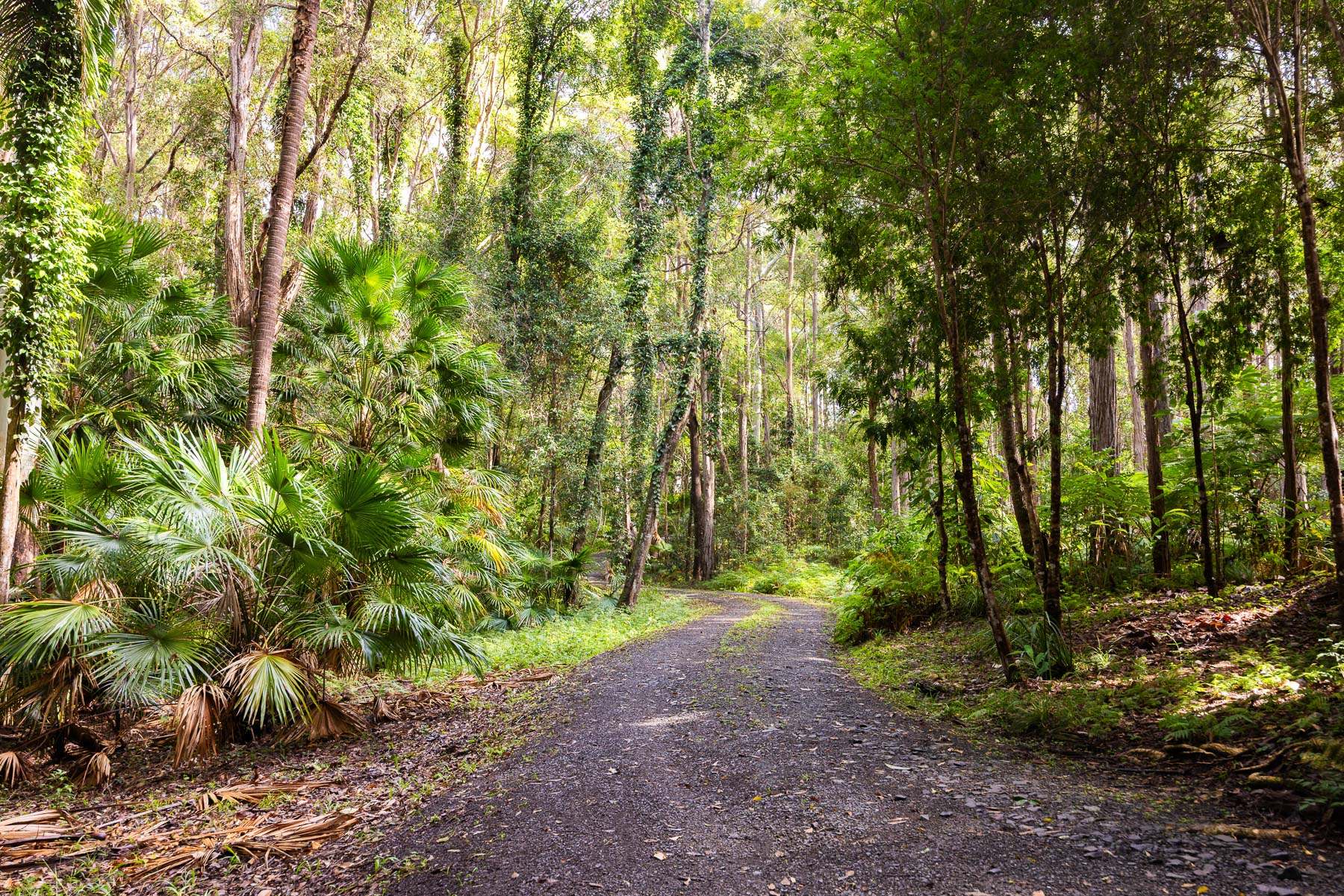 39 Smiths Road, Tinbeerwah For Sale by Farmbuy.com - image 32