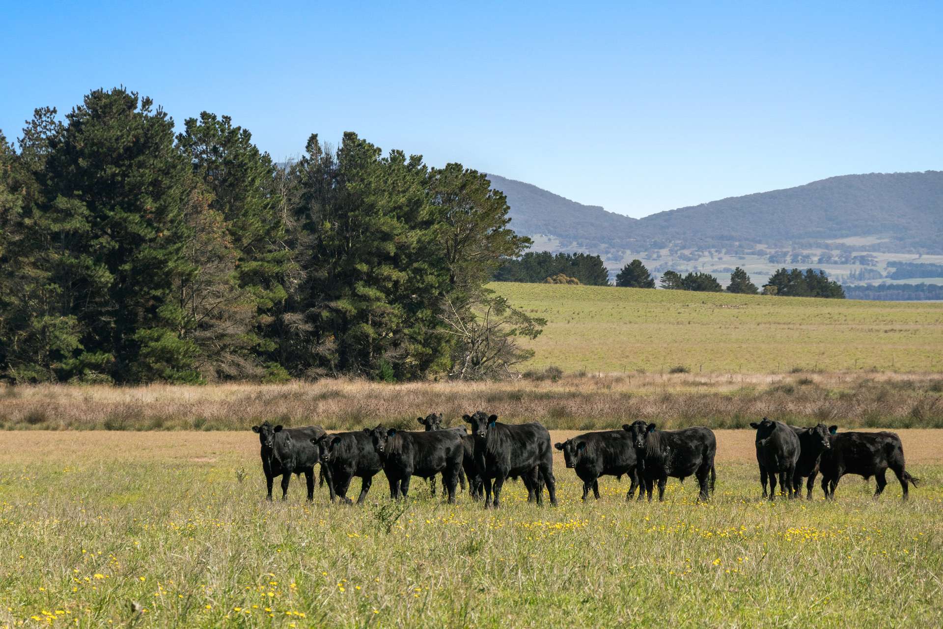 749 Glenoval Road,, Lake Bathurst For Sale by Farmbuy.com - image 34