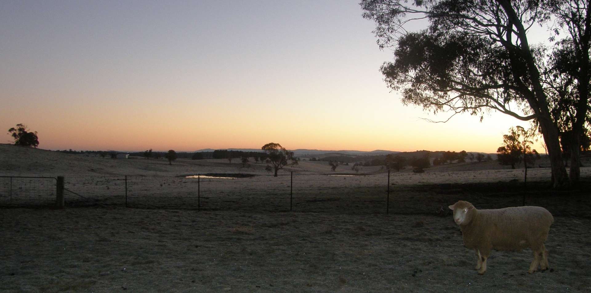 170 Dog Rocks Road, Black Springs Sold by Farmbuy.com - image 18
