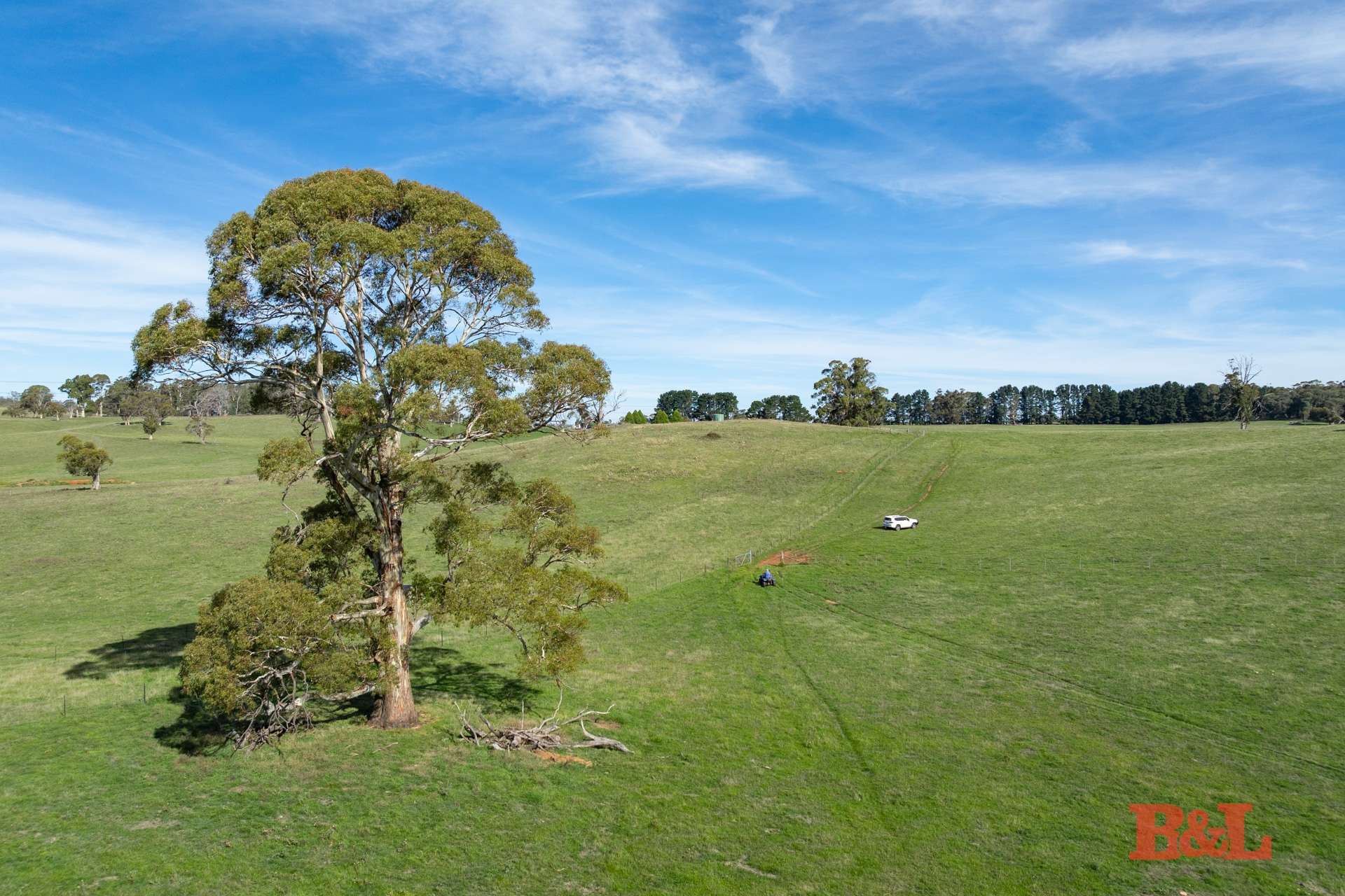 170 Dog Rocks Road, Black Springs Sold by Farmbuy.com - image 10
