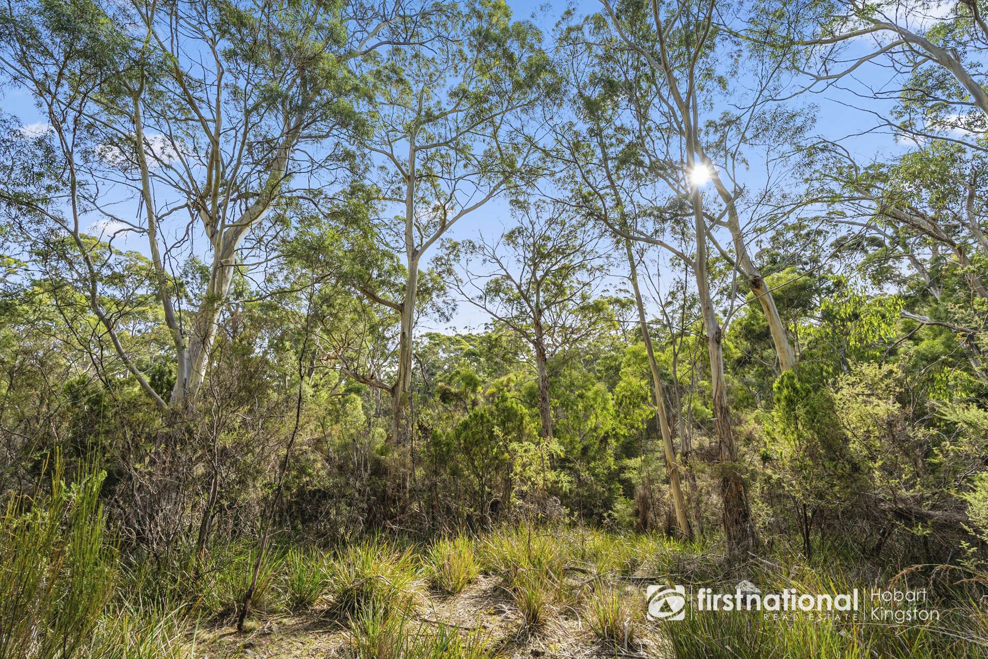 23 Paraweena Road, Alonnah For Sale by Farmbuy.com - image 15