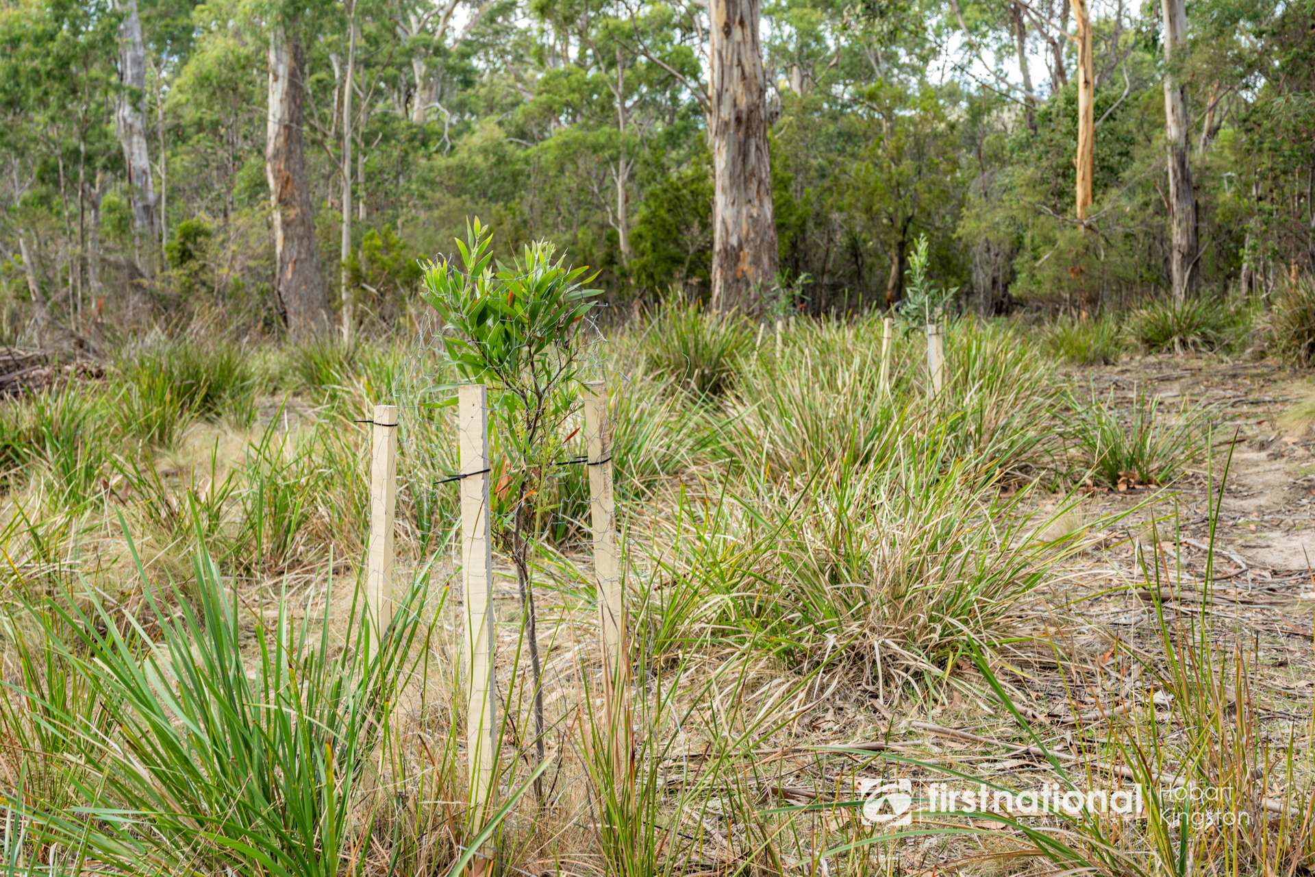 23 Paraweena Road, Alonnah For Sale by Farmbuy.com - image 14