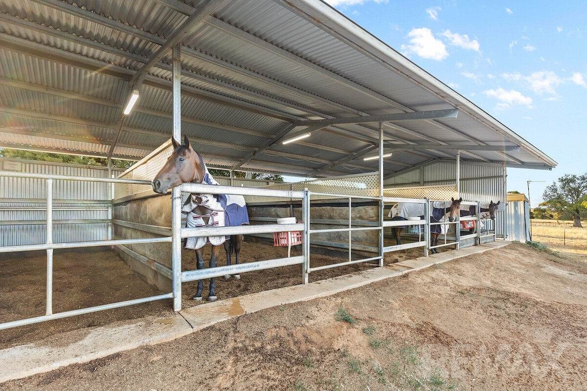 11 Cummins Drive, San Isidore For Sale by Farmbuy.com - image 21