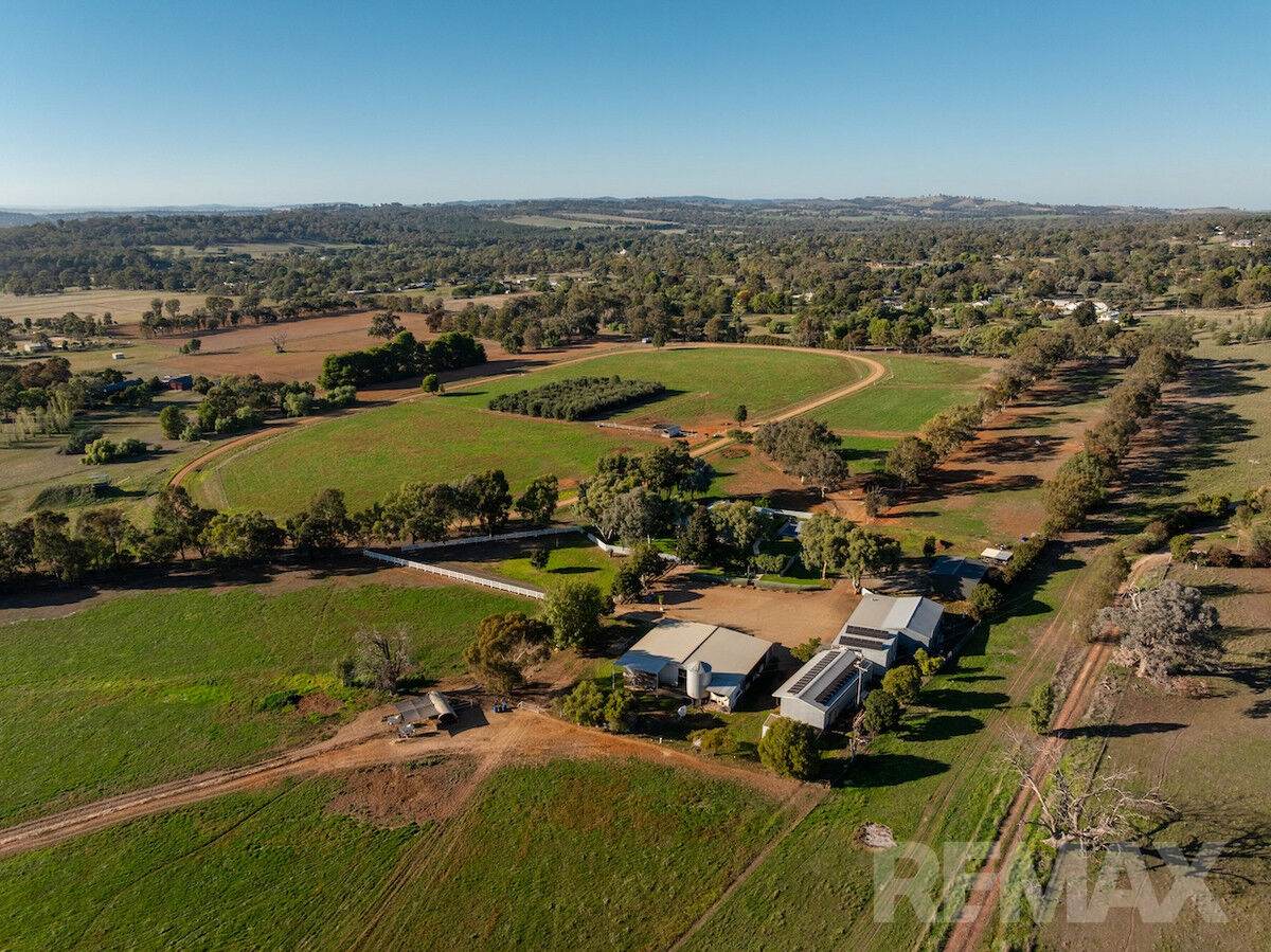 11 Cummins Drive, San Isidore For Sale by Farmbuy.com - image 6
