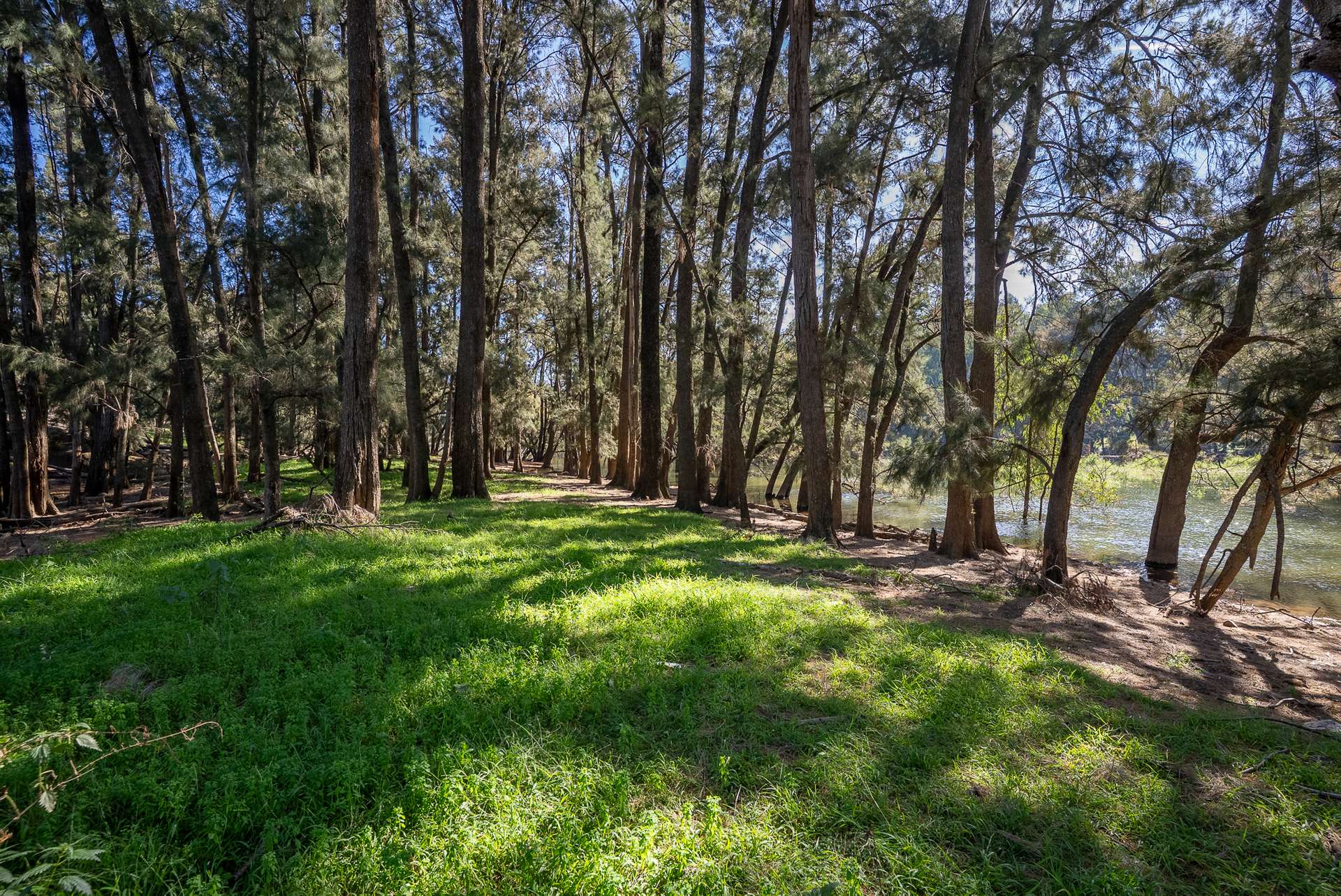 16 Flannerys Road, Wyangala For Sale by Farmbuy.com - image 6