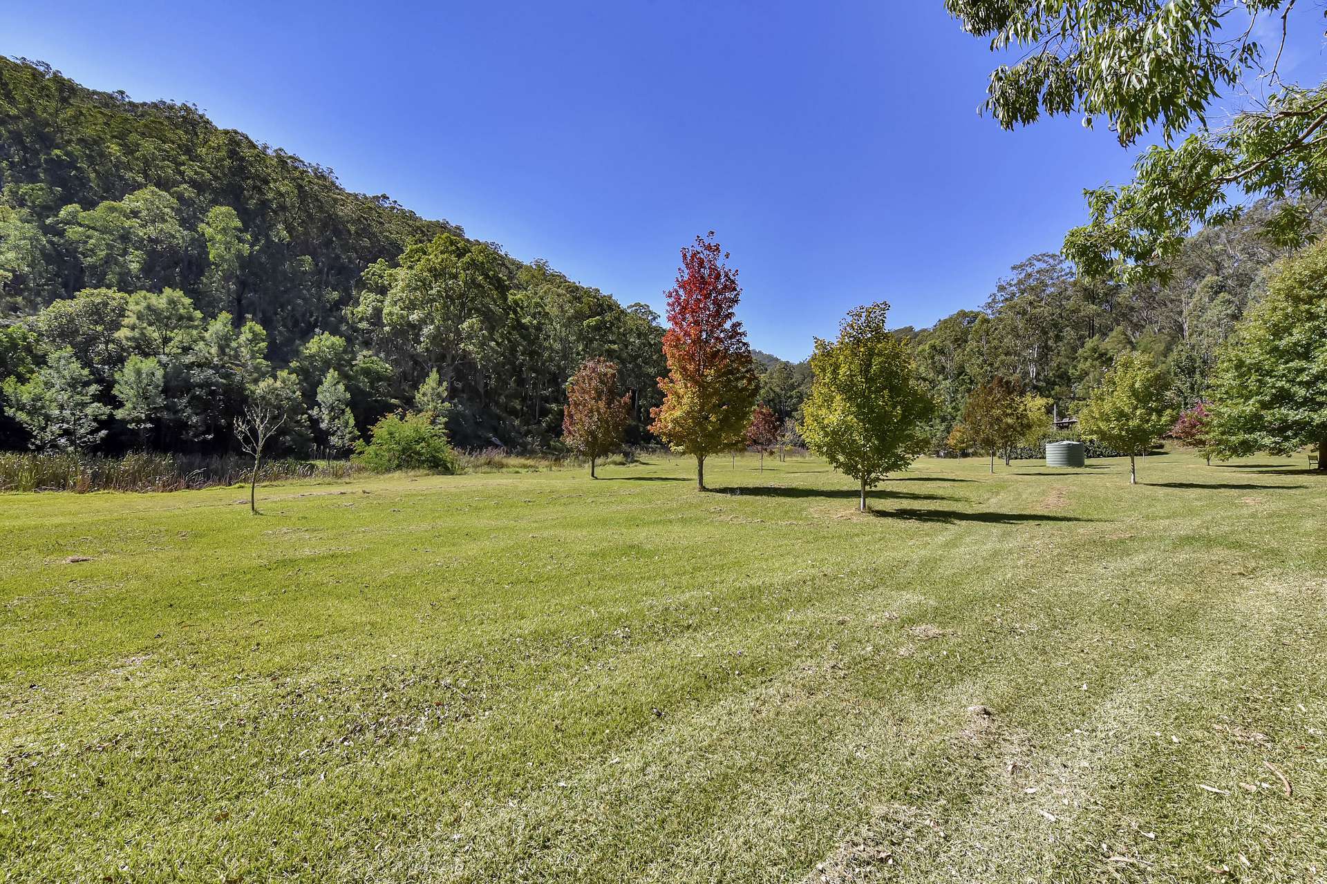 167 Craft Road, Wollombi Sold by Farmbuy.com - image 17