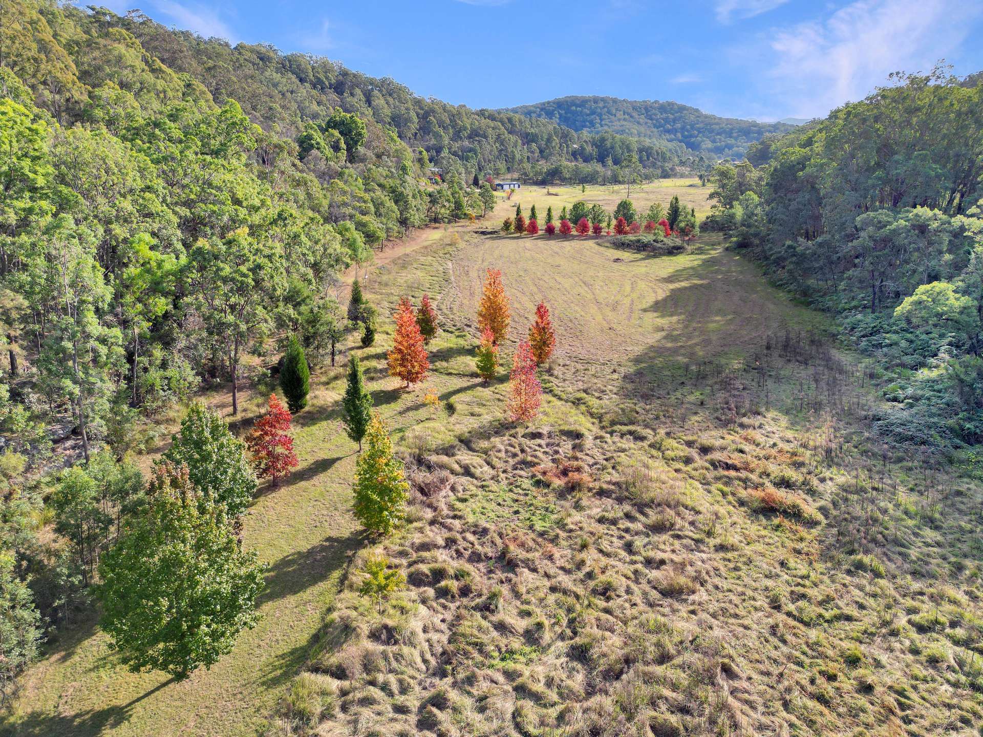 167 Craft Road, Wollombi Sold by Farmbuy.com - image 5