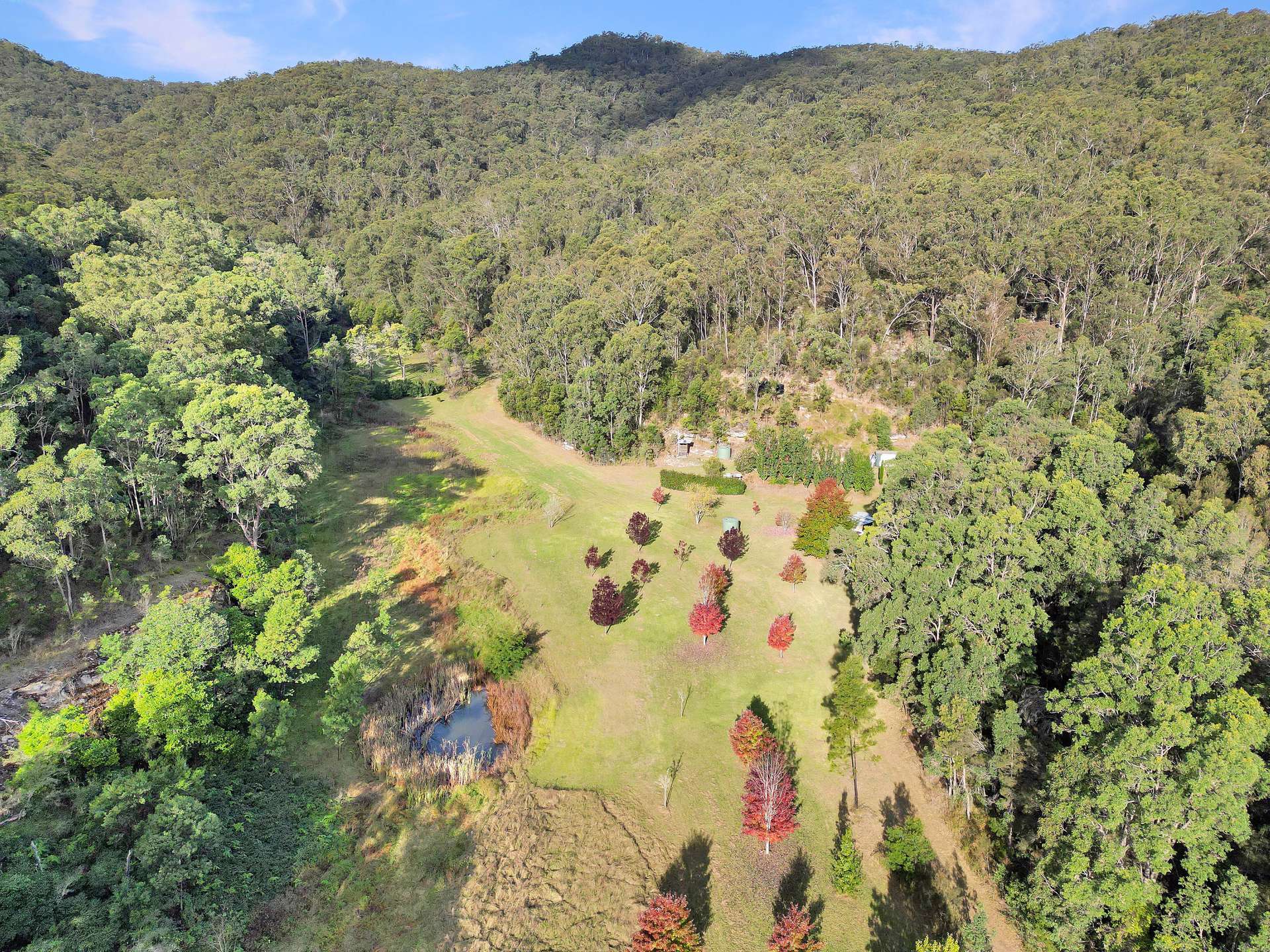 167 Craft Road, Wollombi Sold by Farmbuy.com - image 2