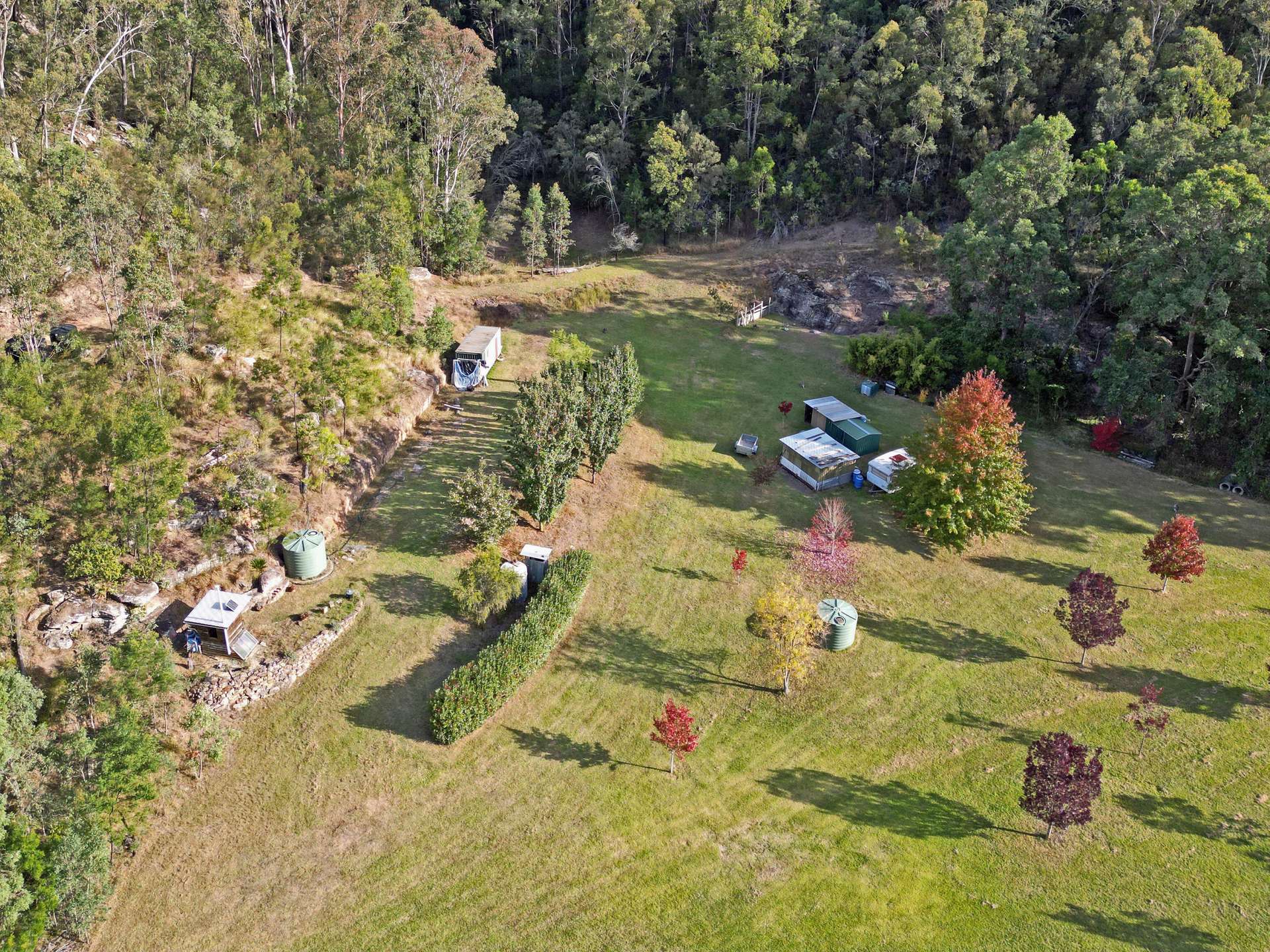 167 Craft Road, Wollombi Sold by Farmbuy.com - image 4