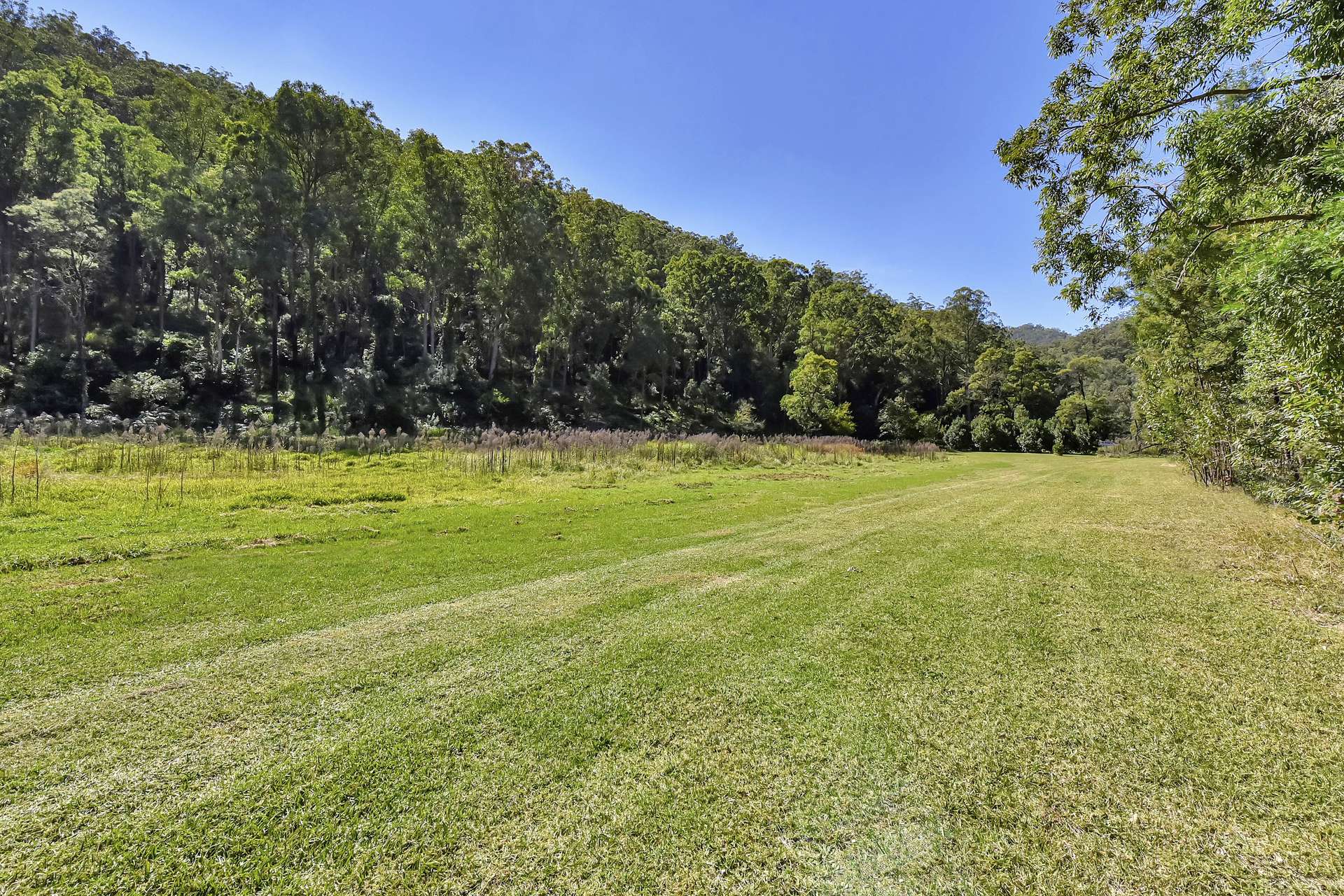167 Craft Road, Wollombi Sold by Farmbuy.com - image 19
