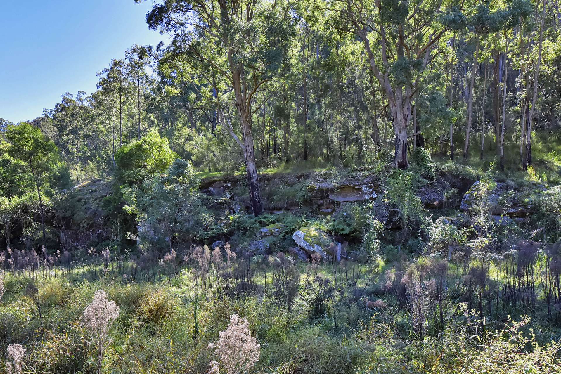 167 Craft Road, Wollombi Sold by Farmbuy.com - image 21