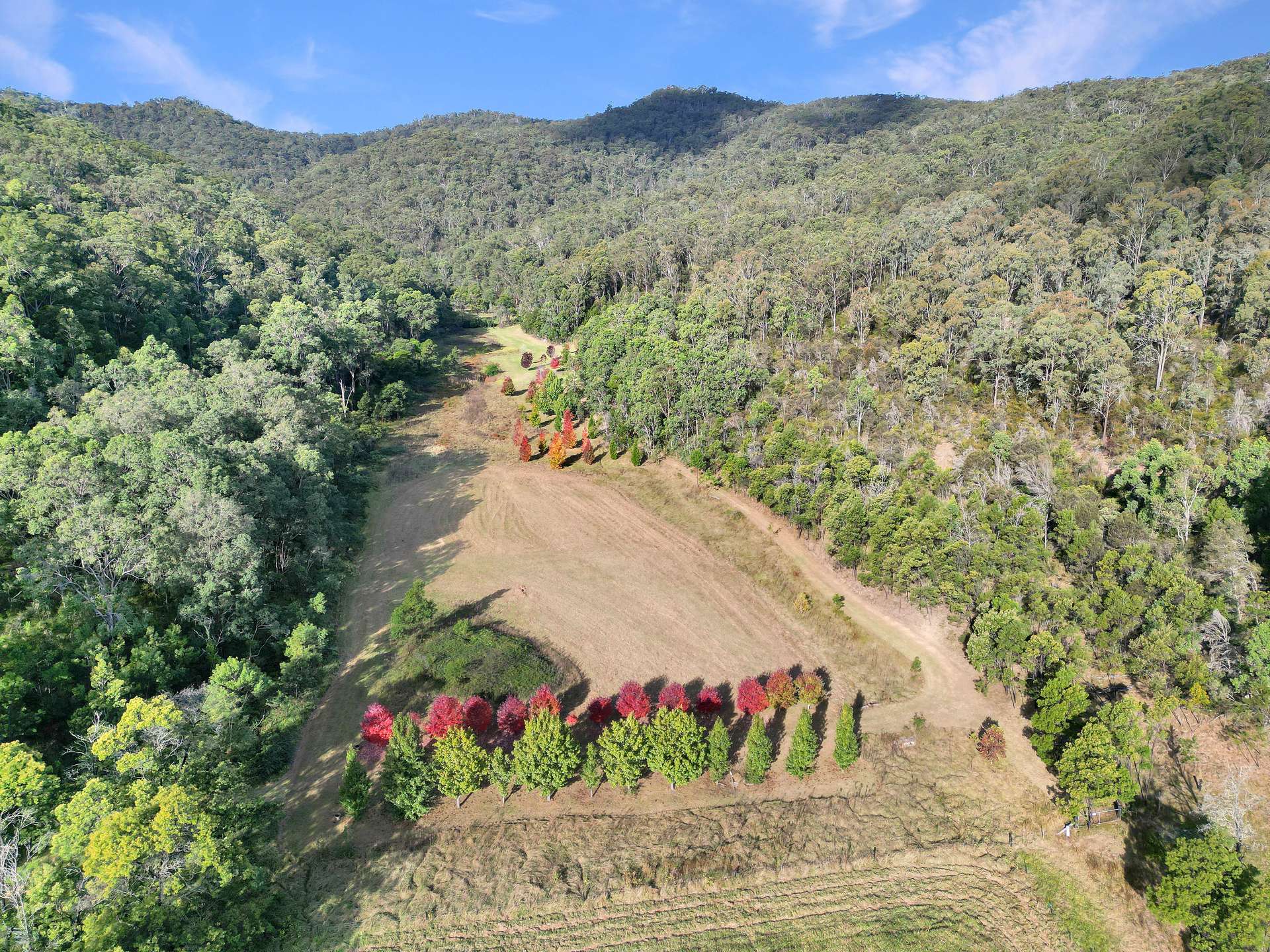 167 Craft Road, Wollombi Sold by Farmbuy.com - image 6