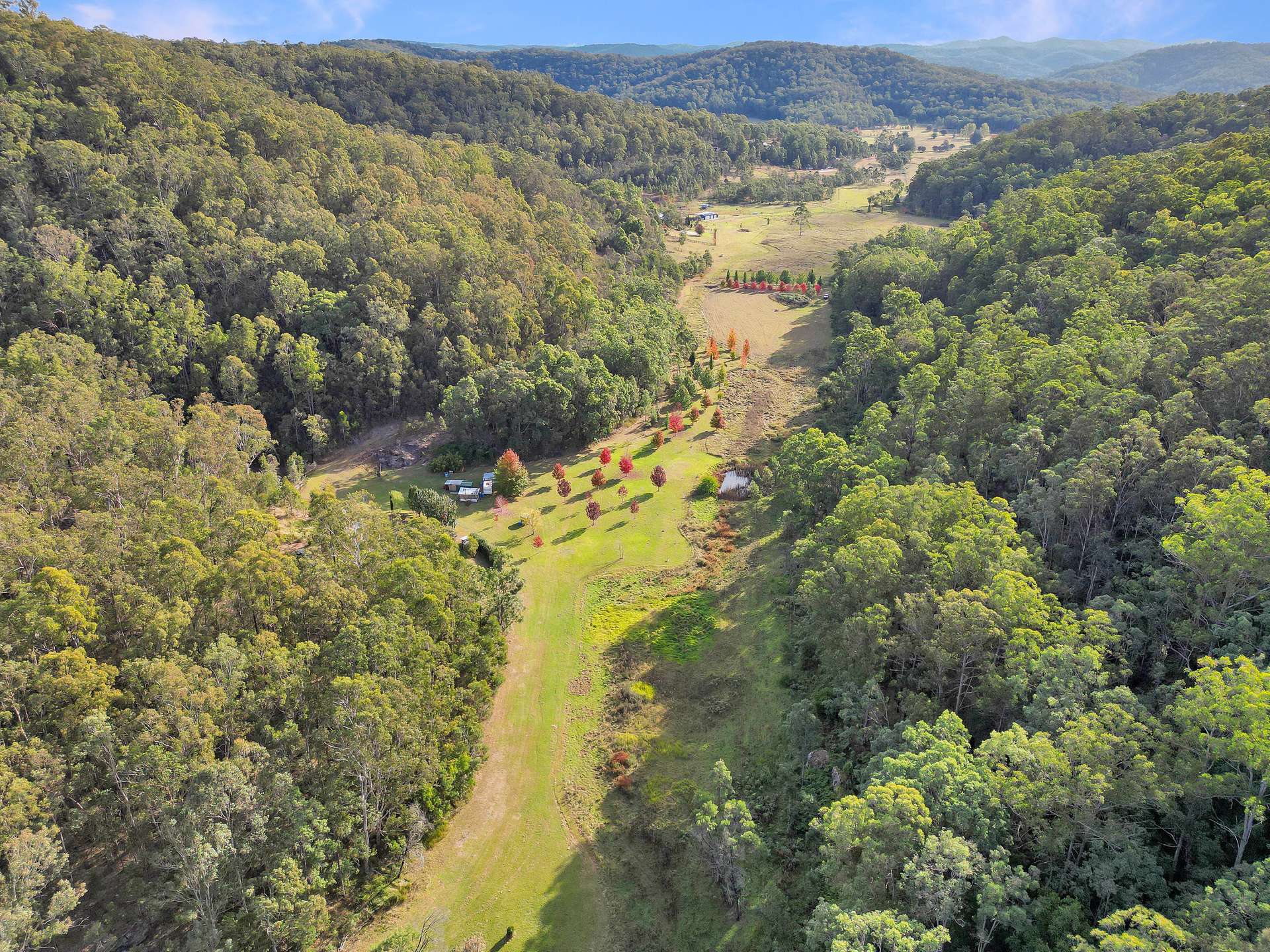 167 Craft Road, Wollombi Sold by Farmbuy.com - image 9