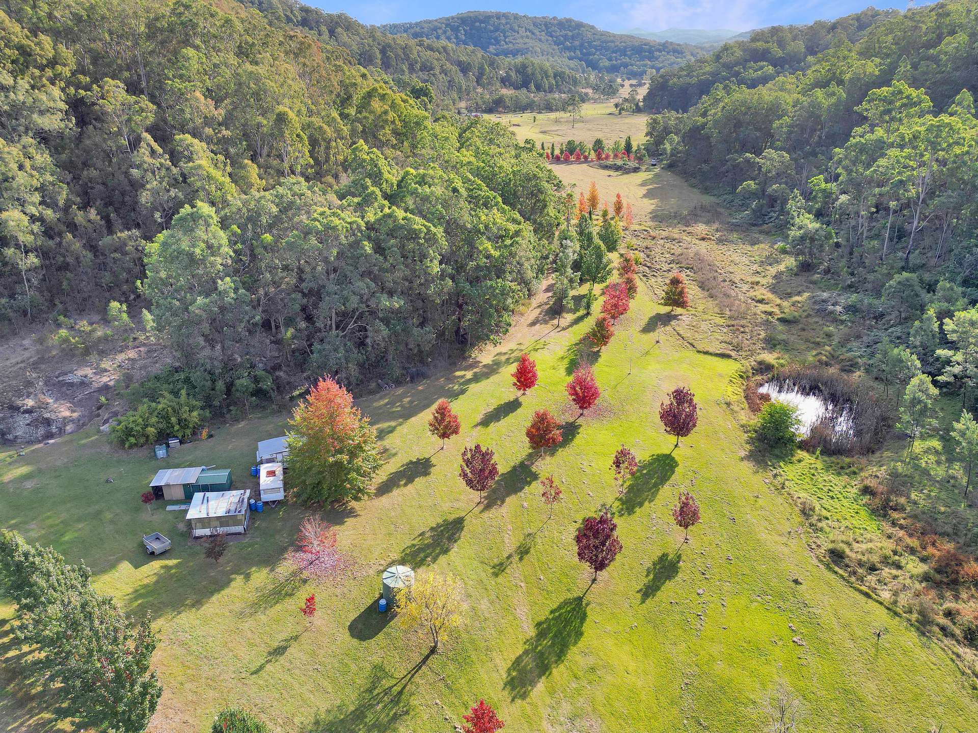 167 Craft Road, Wollombi Sold by Farmbuy.com - image 1