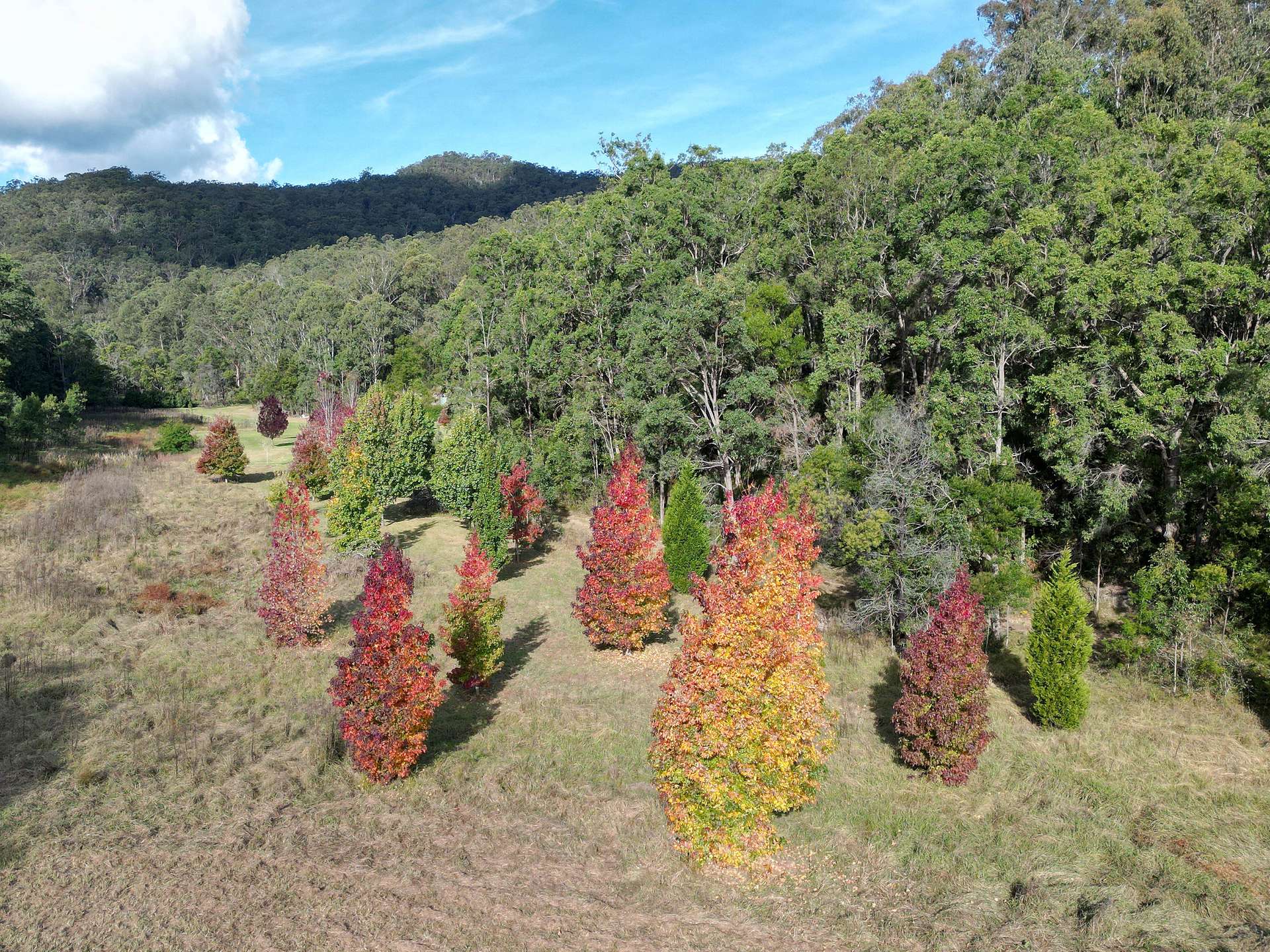167 Craft Road, Wollombi Sold by Farmbuy.com - image 20