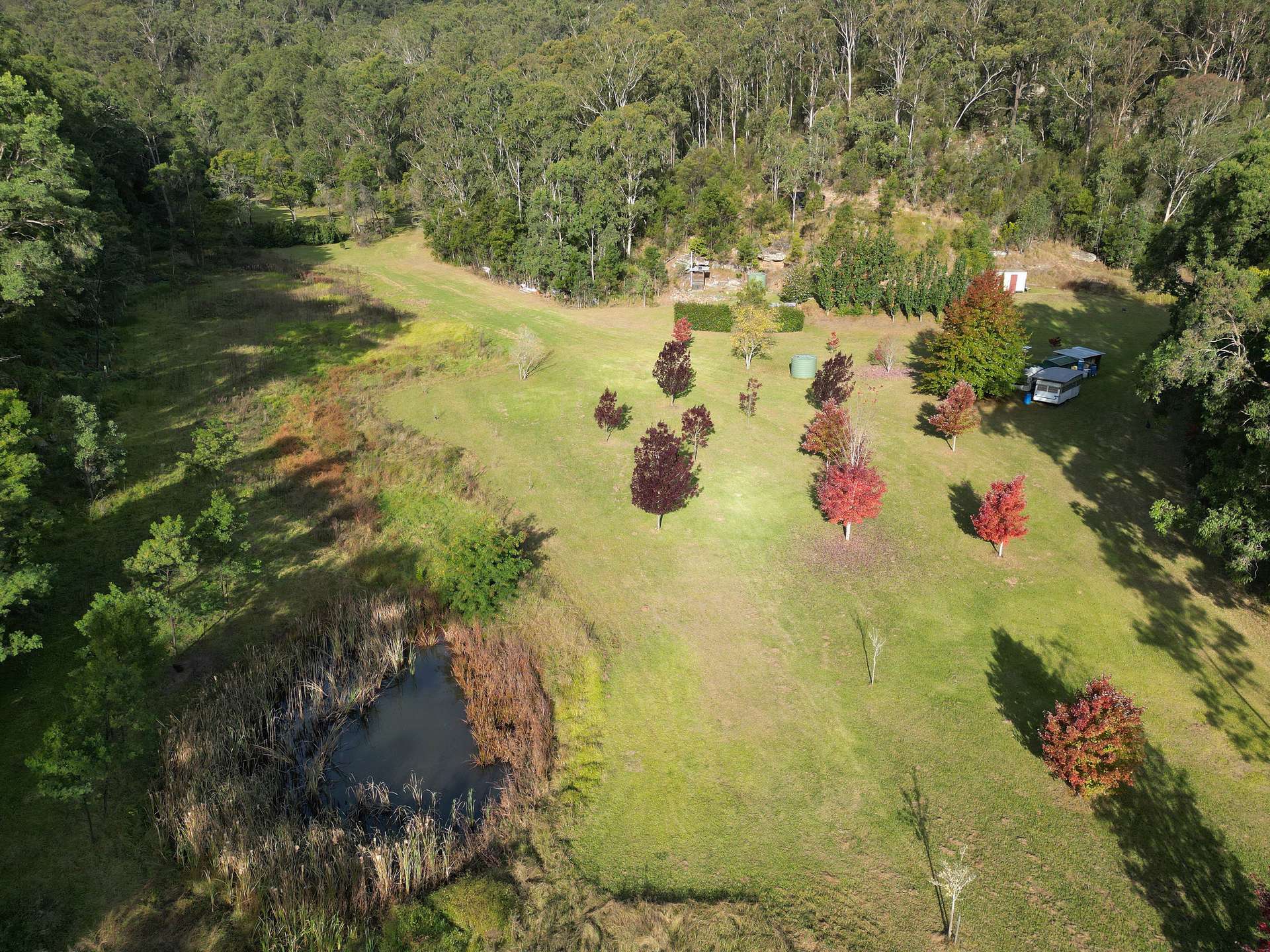 167 Craft Road, Wollombi Sold by Farmbuy.com - image 3