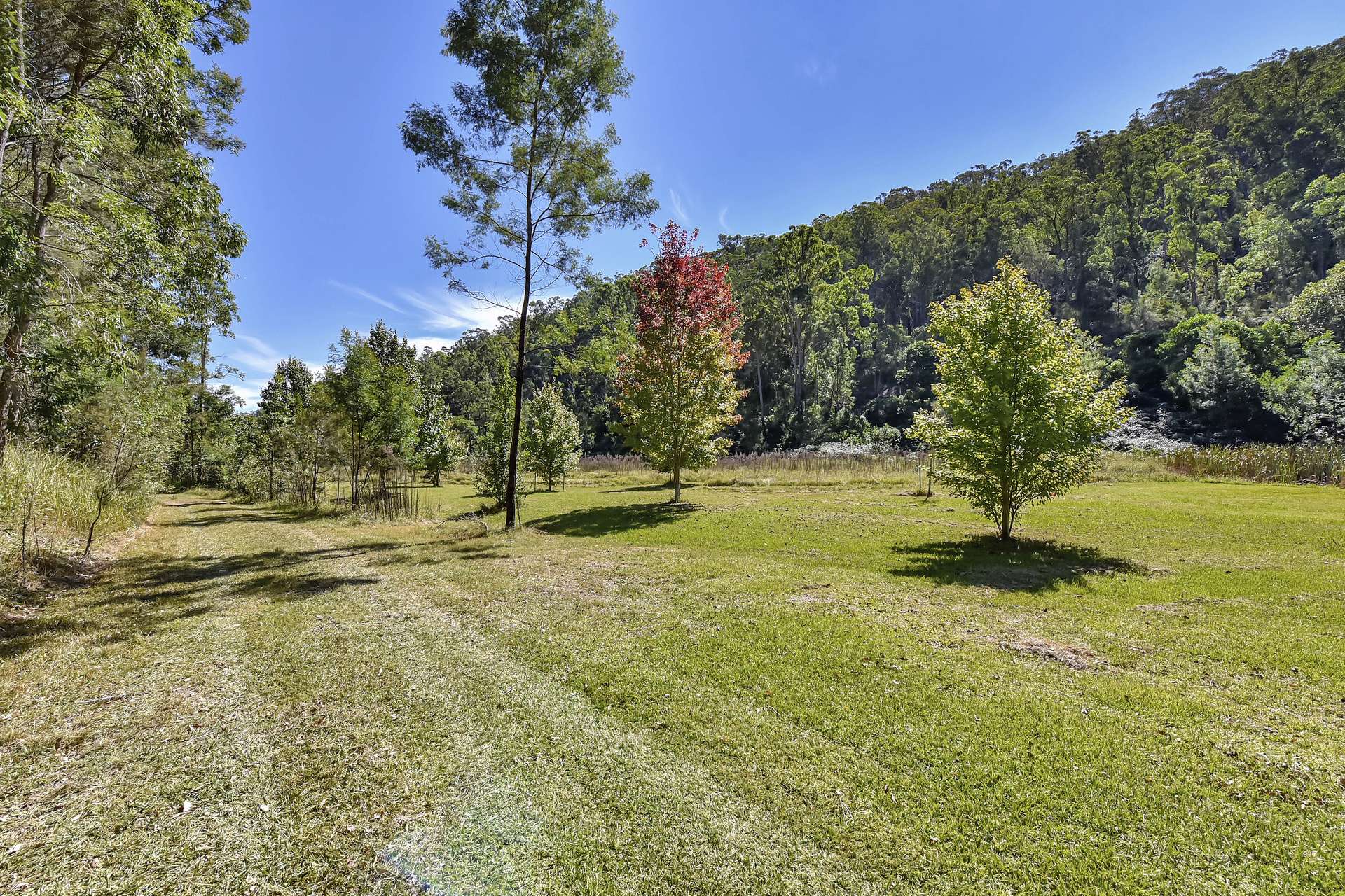 167 Craft Road, Wollombi Sold by Farmbuy.com - image 18