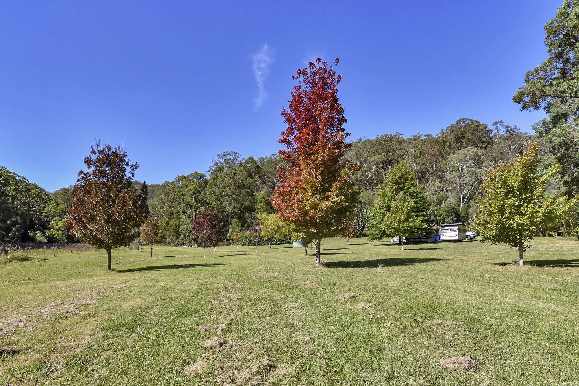 167 Craft Road, Wollombi Sold by Farmbuy.com - image 11