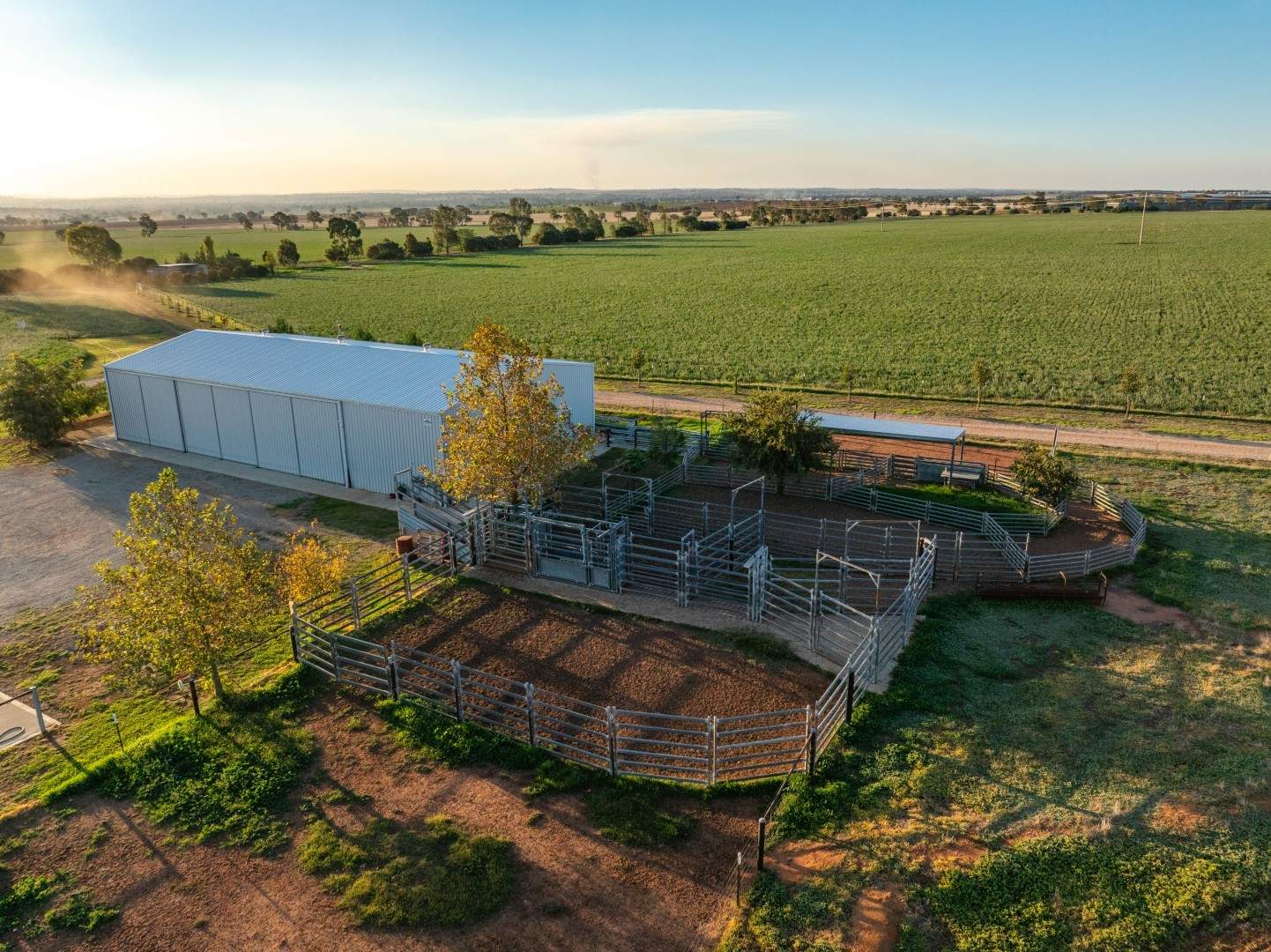 3685 Olympic Highway, Junee Auction by Farmbuy.com - image 28