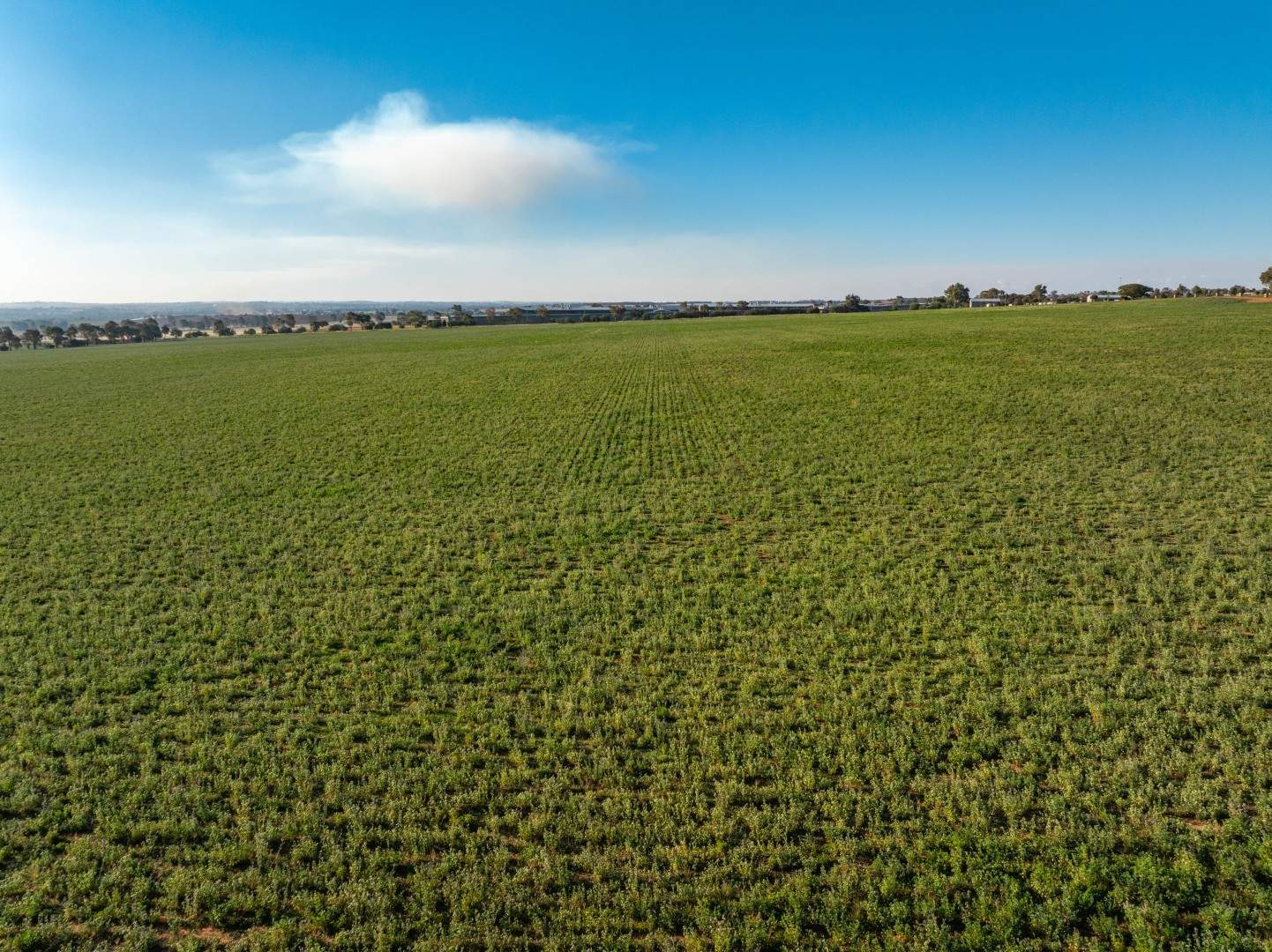 3685 Olympic Highway, Junee Auction by Farmbuy.com - image 5