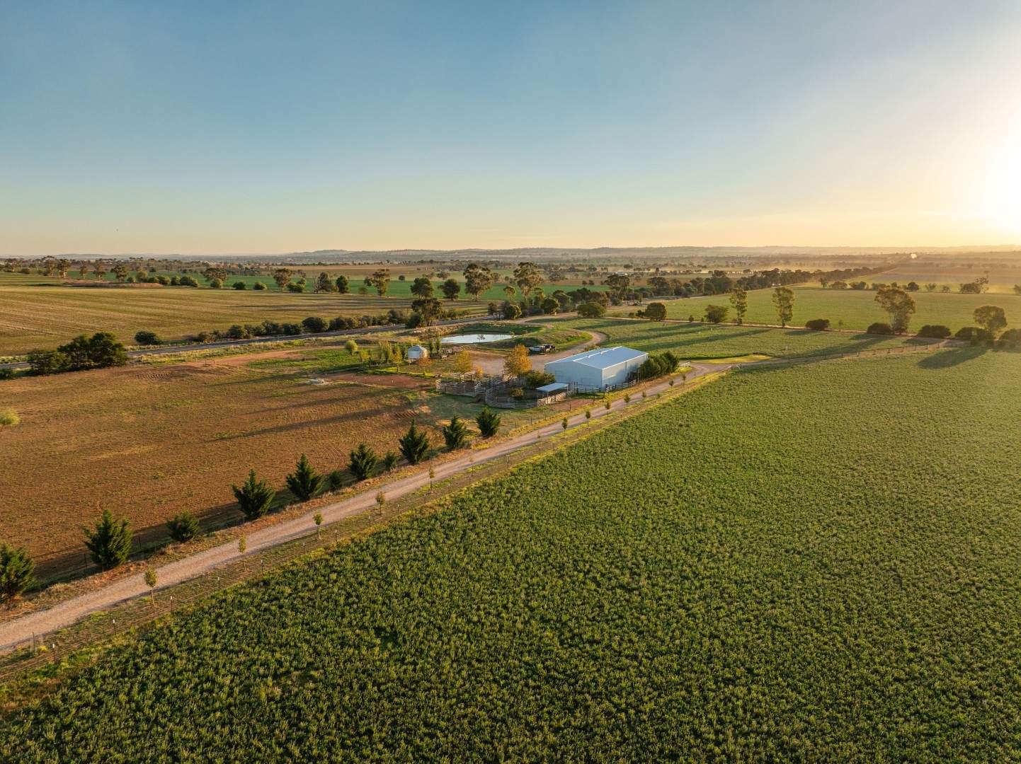 3685 Olympic Highway, Junee Auction by Farmbuy.com - image 25