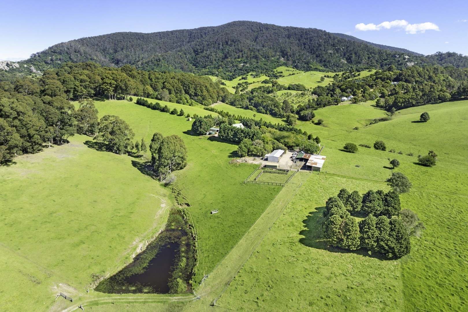 182 Punkalla-Tilba Road, Central Tilba Auction by Farmbuy.com - image 12