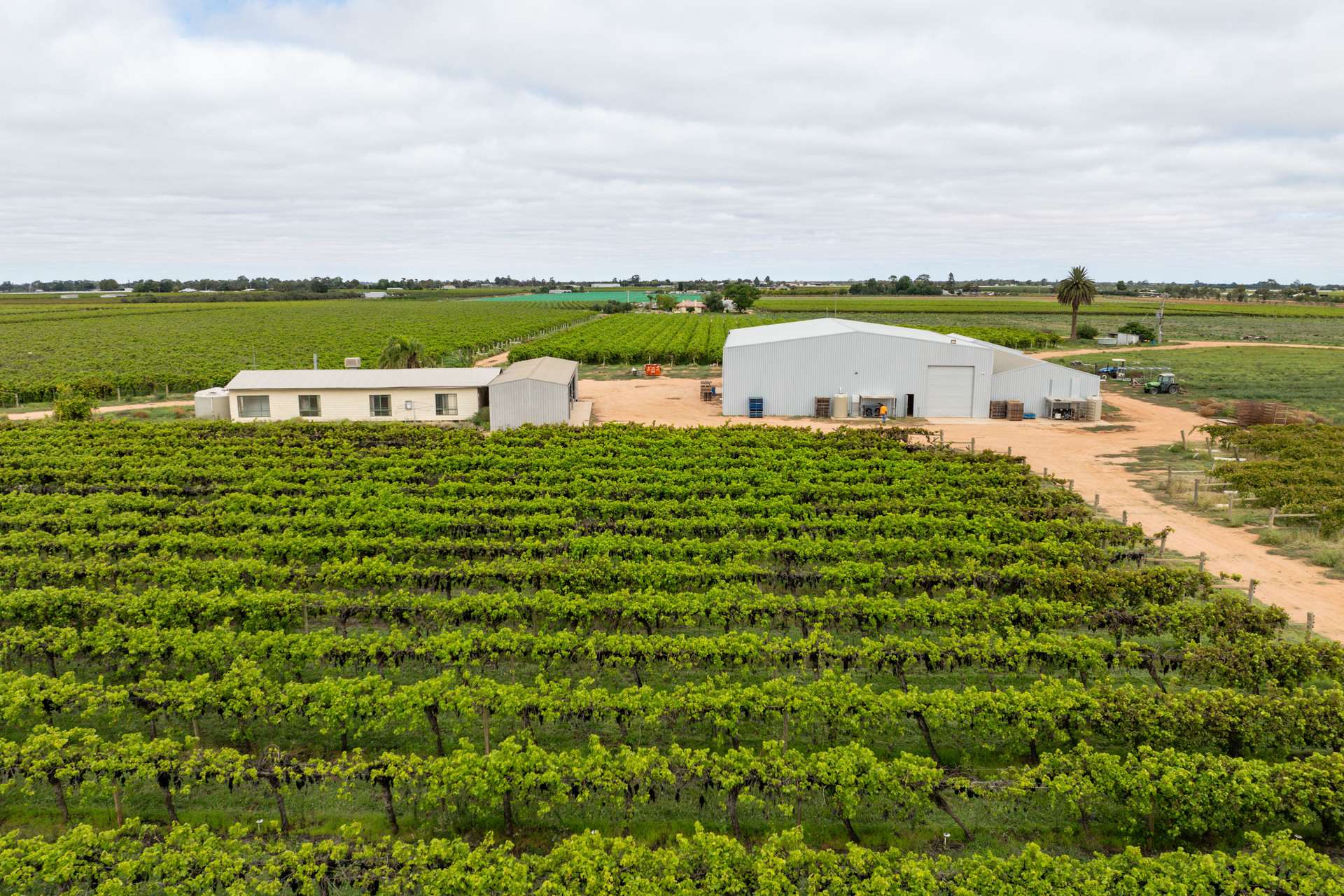 117 Sixth Street, Merbein For Sale by Farmbuy.com - image 12