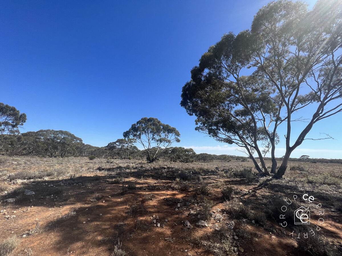 Lot 19 Sleeper Track, Swan Reach For Sale by Farmbuy.com - image 2