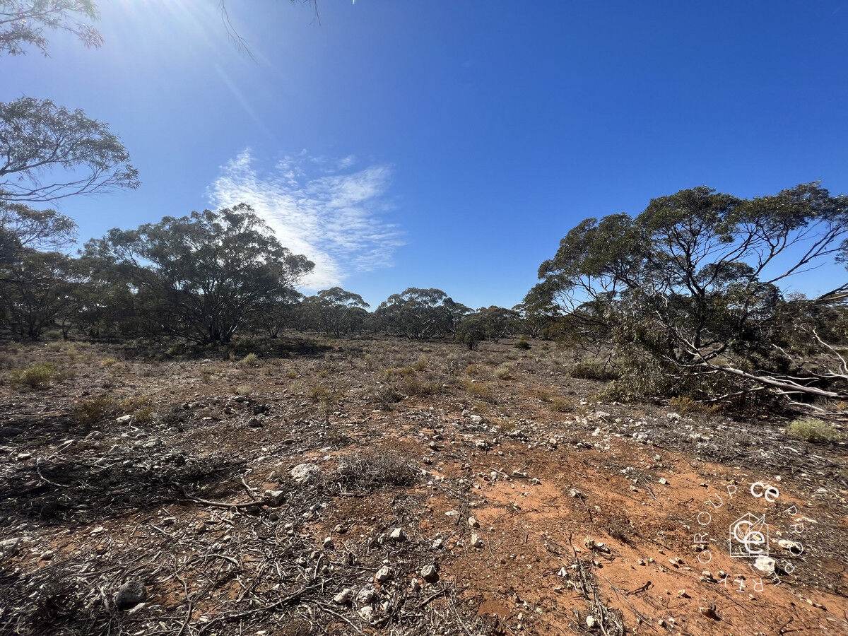 Lot 19 Sleeper Track, Swan Reach For Sale by Farmbuy.com - image 7