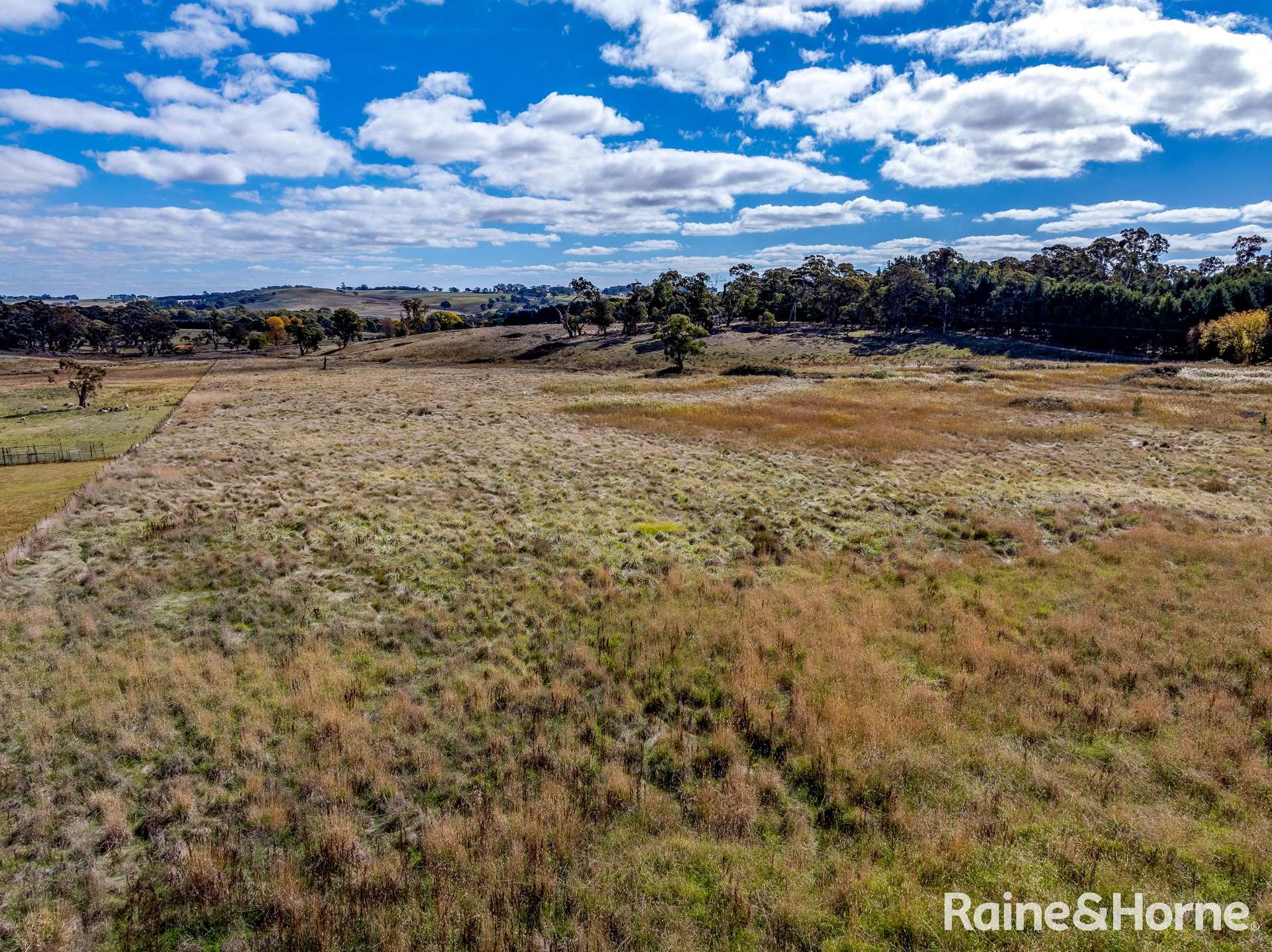 Lot 402 & 407 Grabben Gullen Road, Grabben Gullen For Sale by Farmbuy.com - image 5