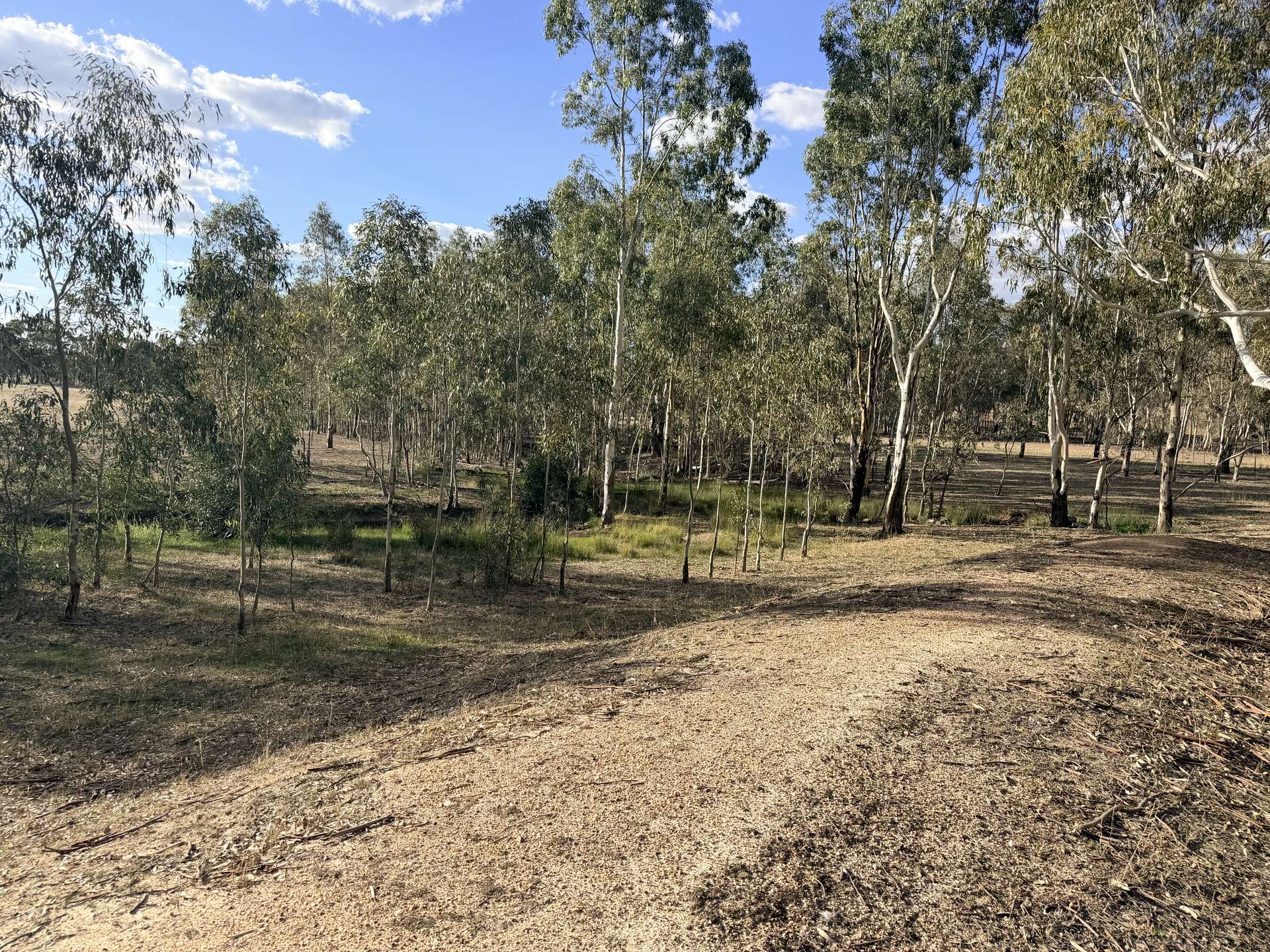 0 Murray Road, Carapooee For Sale by Farmbuy.com - image 31