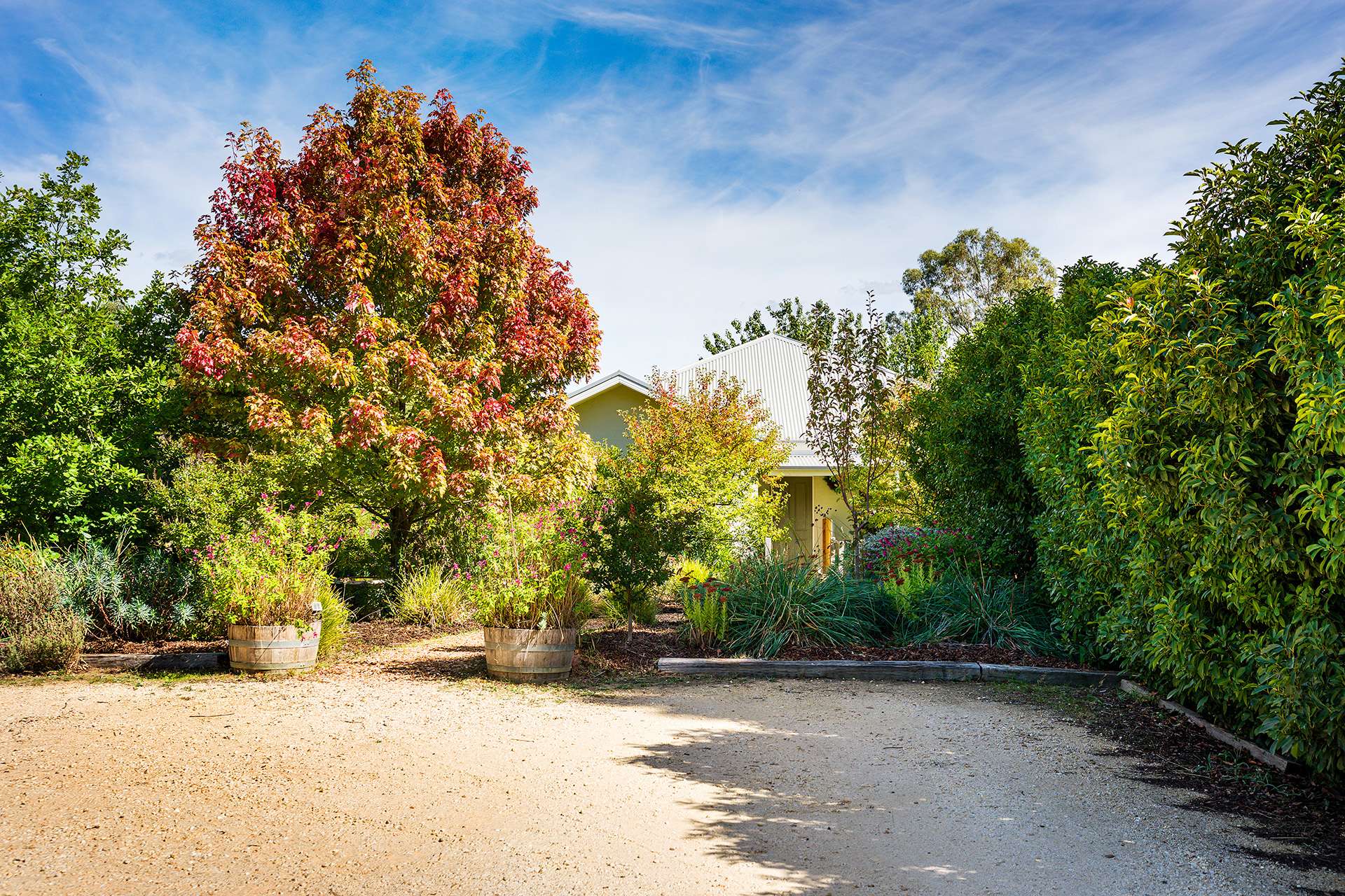 6 Ross Drive, Castlemaine For Sale by Farmbuy.com - image 18
