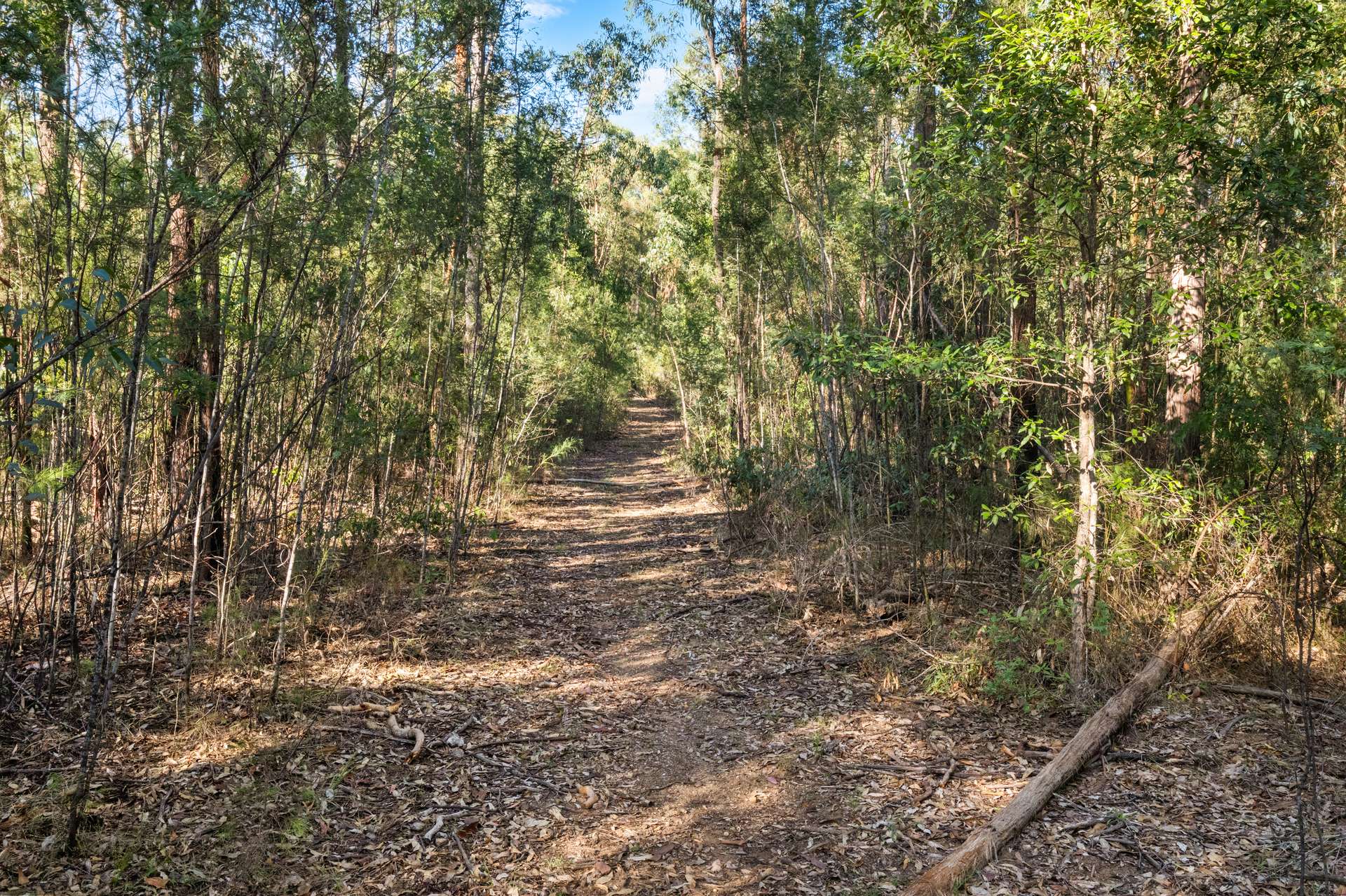301 Bakers Road, Putty For Sale by Farmbuy.com - image 12